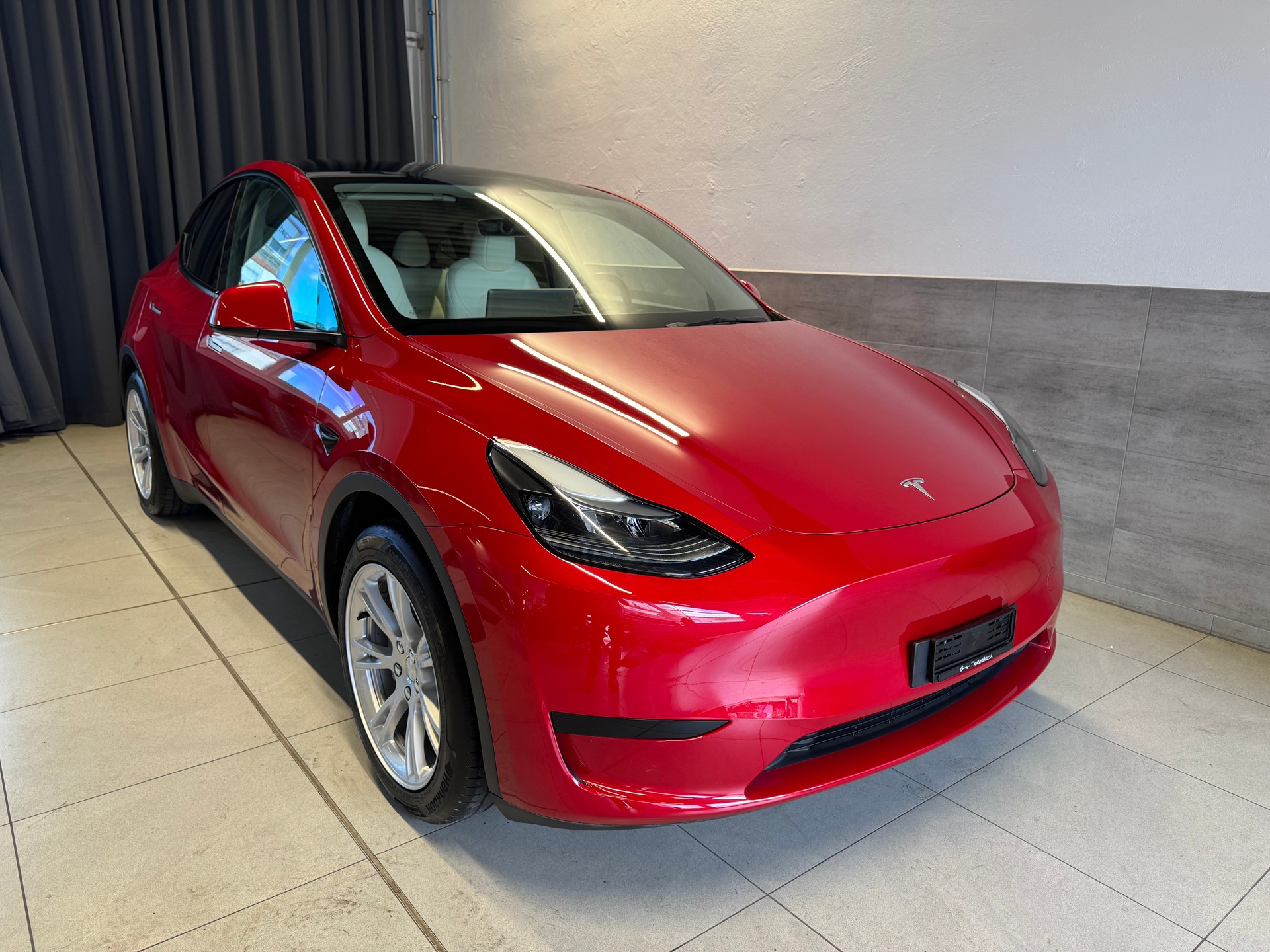 TESLA Model Y RWD(11)(M)