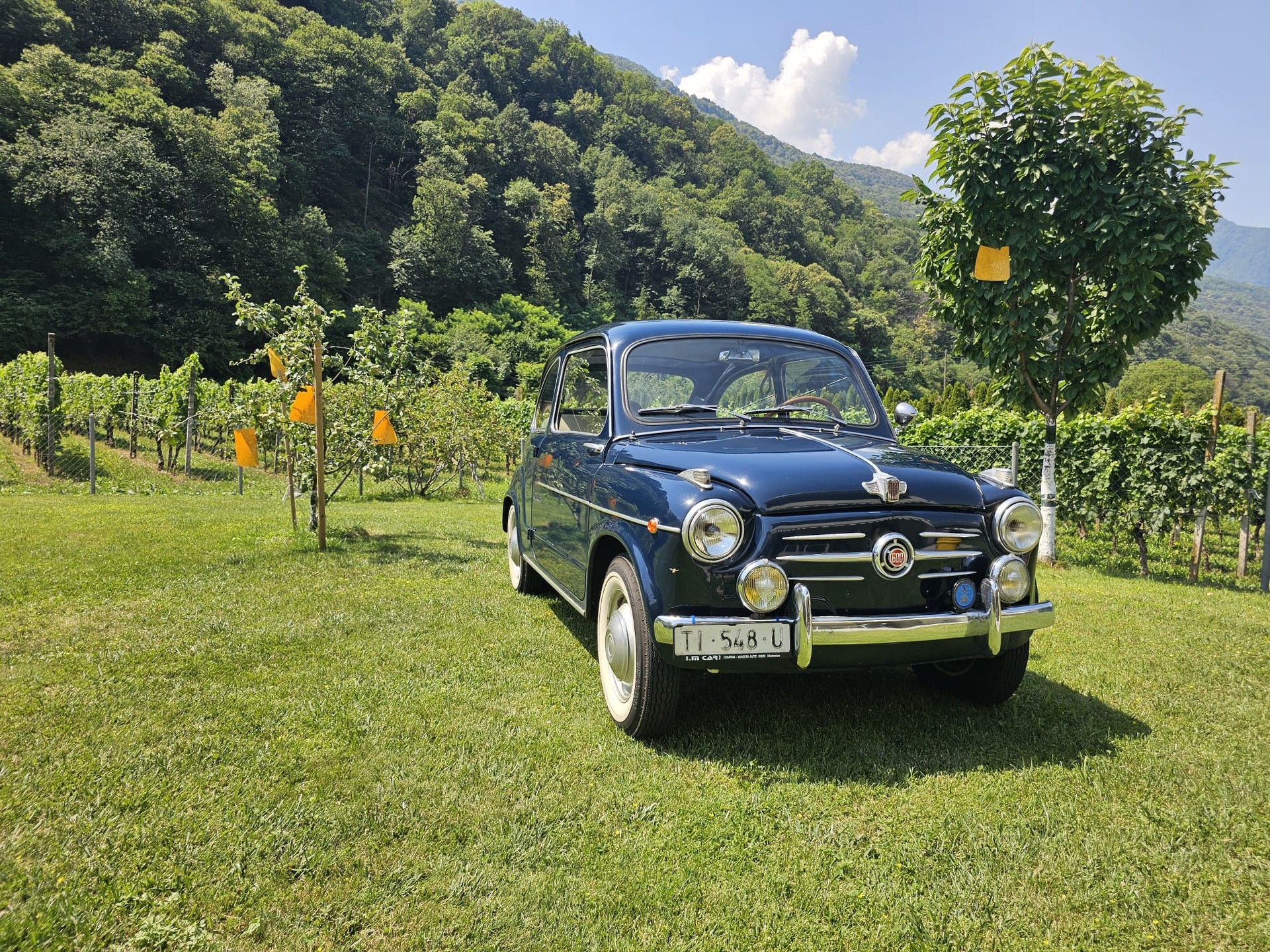 FIAT 600-image-4