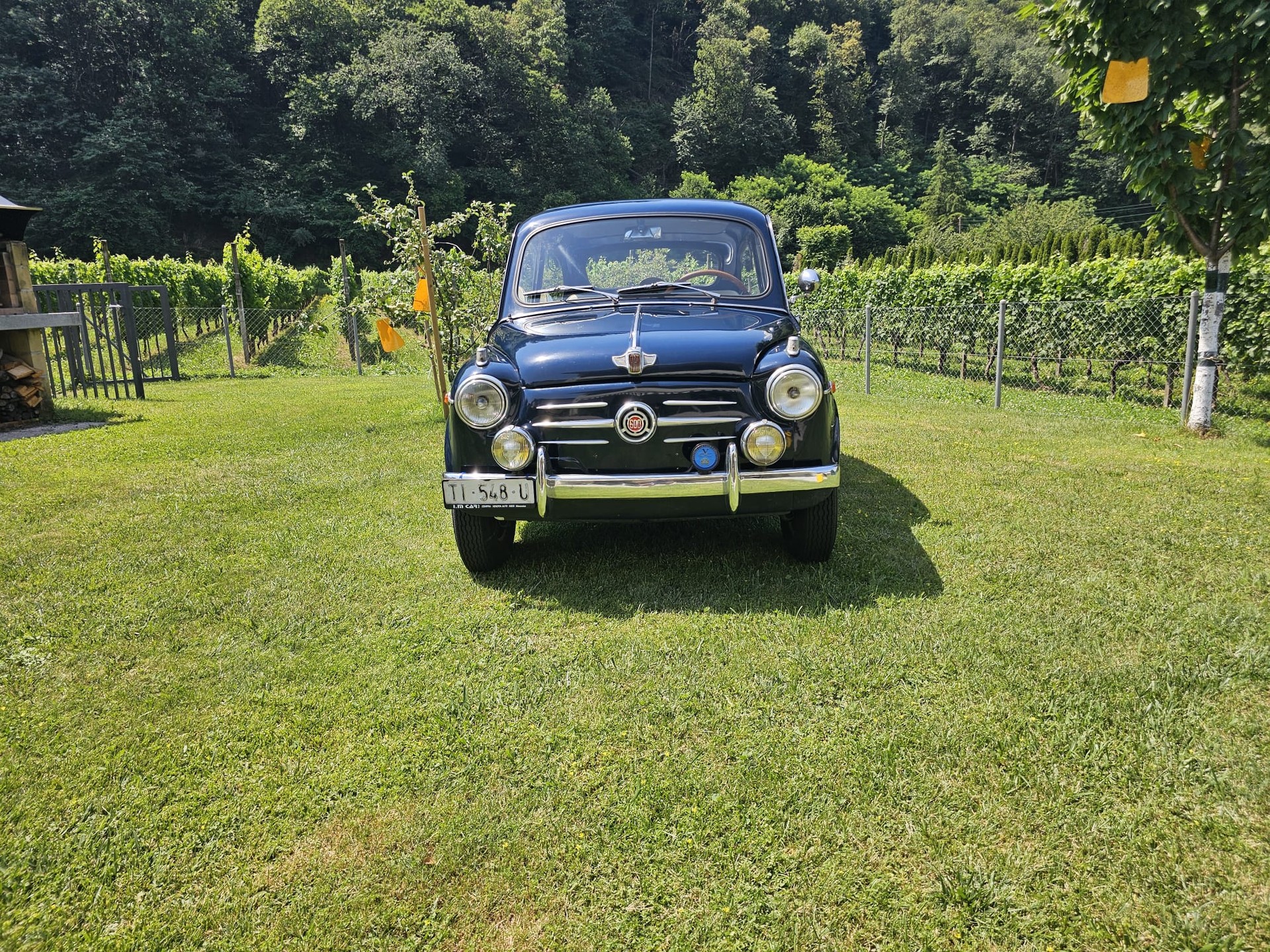 FIAT 600-image-1