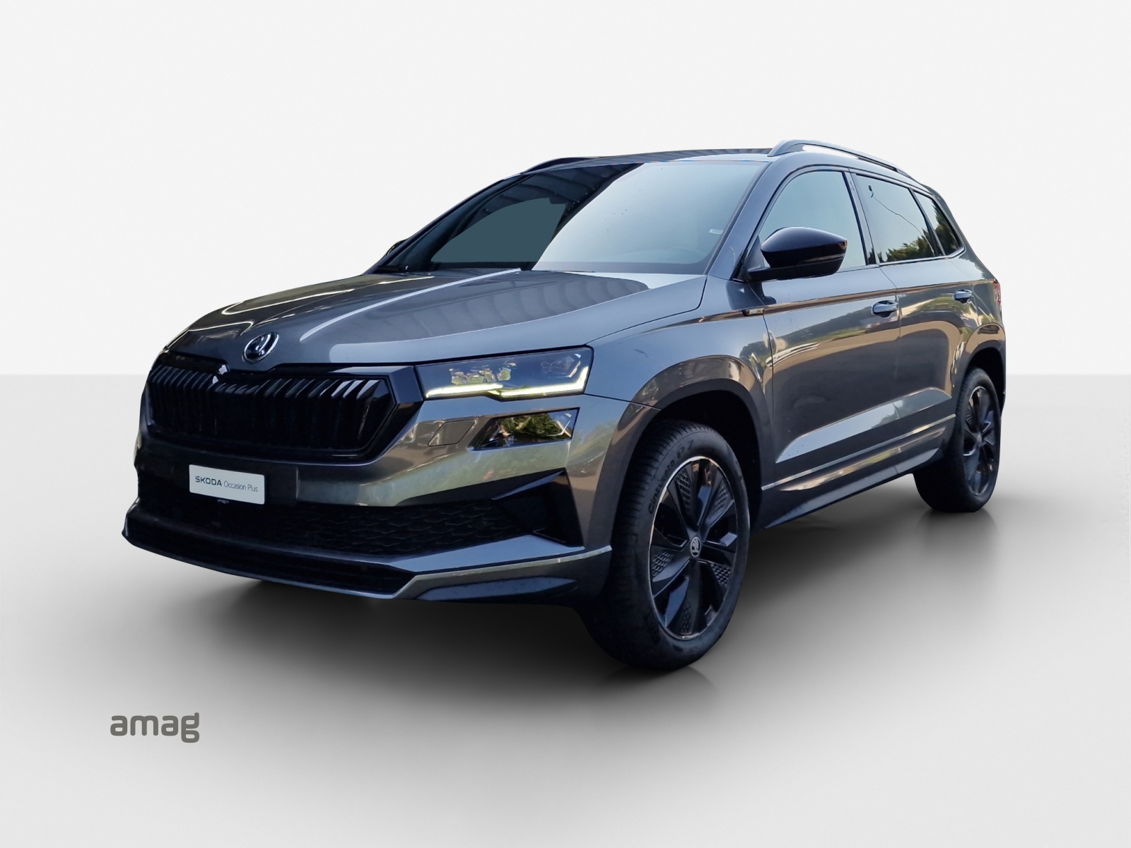SKODA Karoq 2.0 TSI SportLine 4x4 DSG-image-0