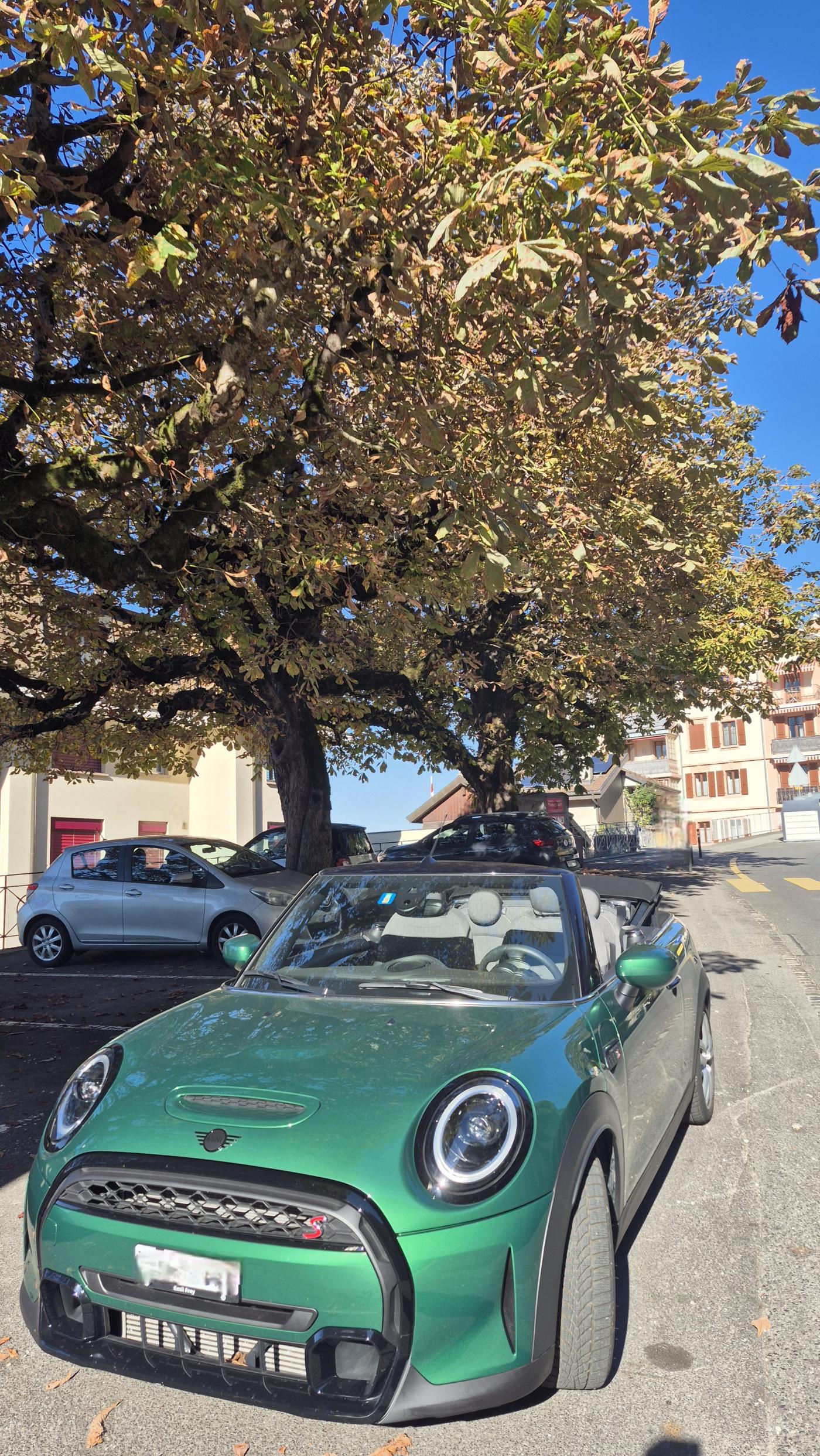 MINI Cooper S Cabriolet DKG-image-1