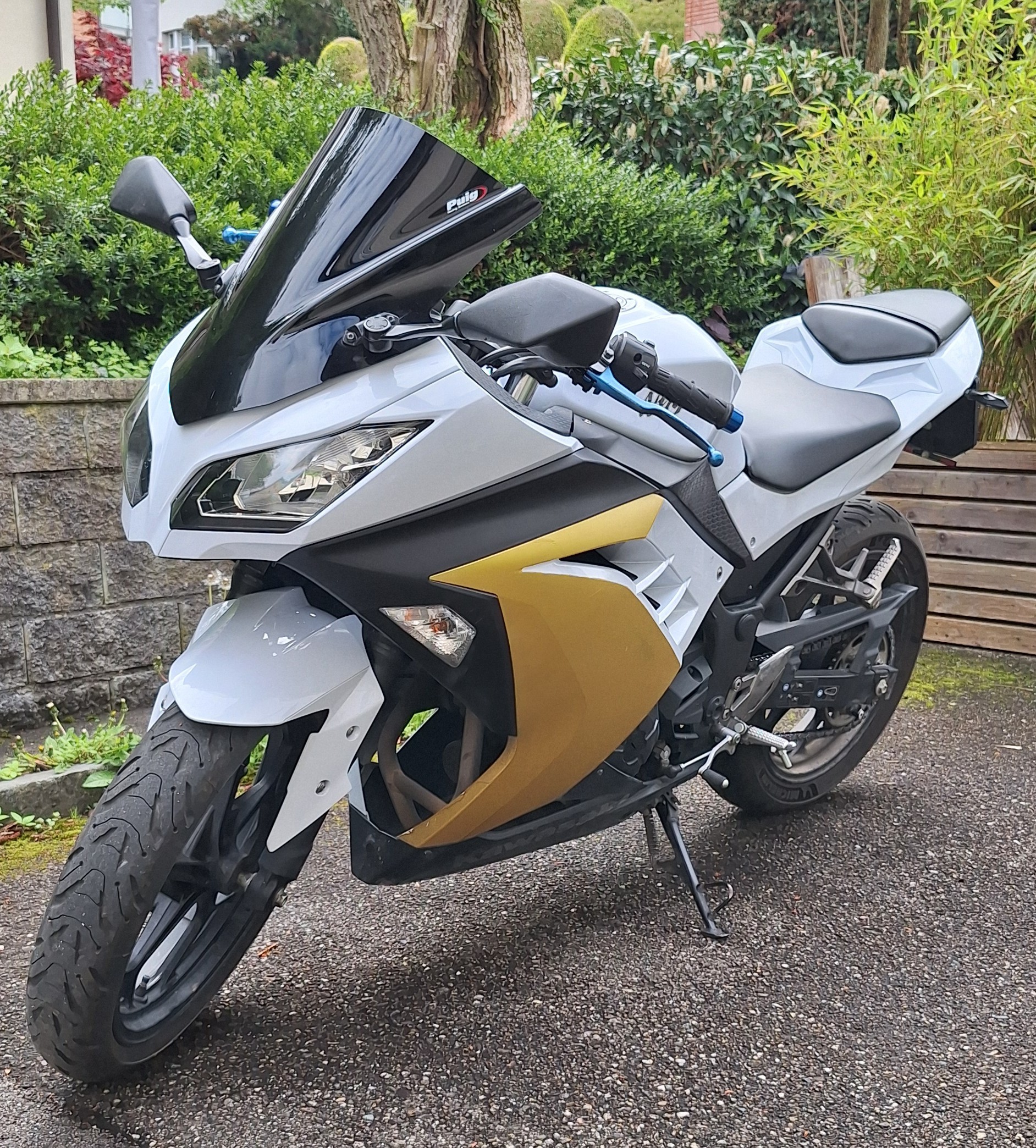 KAWASAKI Ninja 300 ABS-image-6