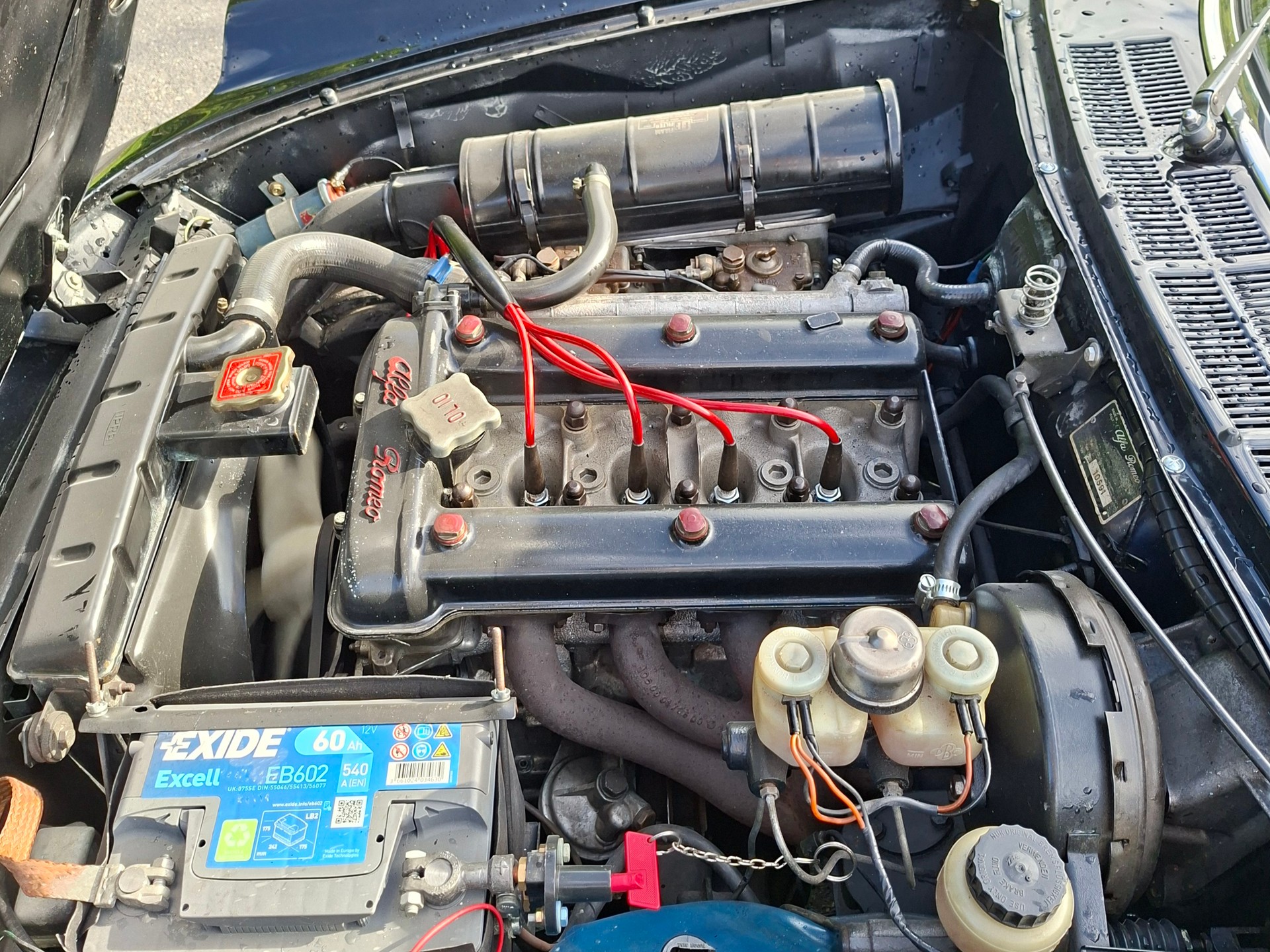 ALFA ROMEO SPIDER-image-7