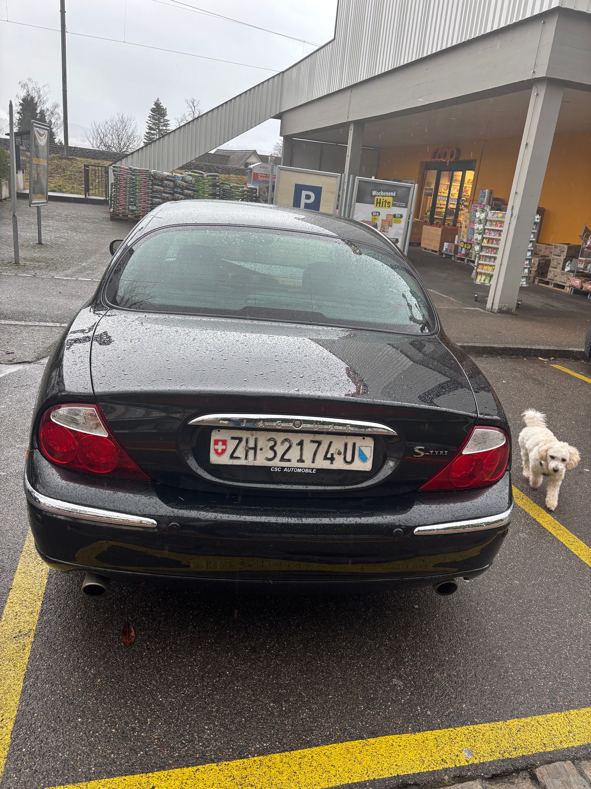 JAGUAR S-Type 4.0 V8-image-3