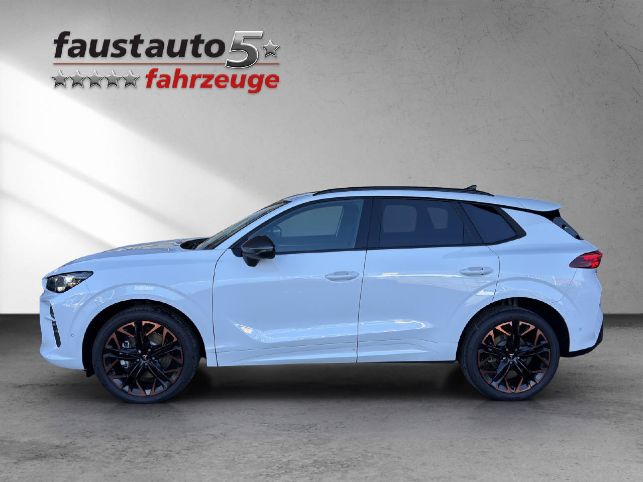 CUPRA Terramar 2.0 TSI Prime Edition 4Drive DSG-image-2