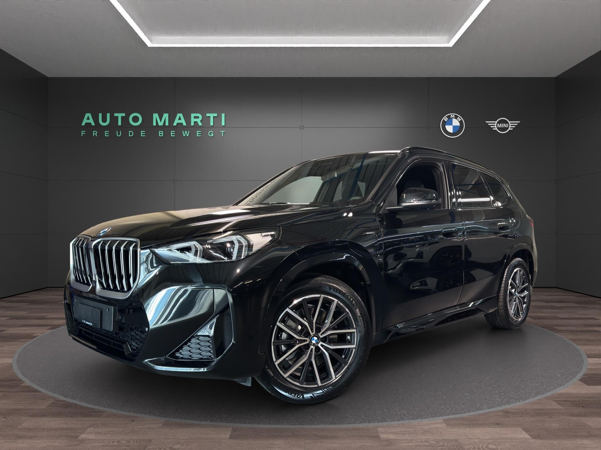 BMW X1 20d xDrive paddles-image-0