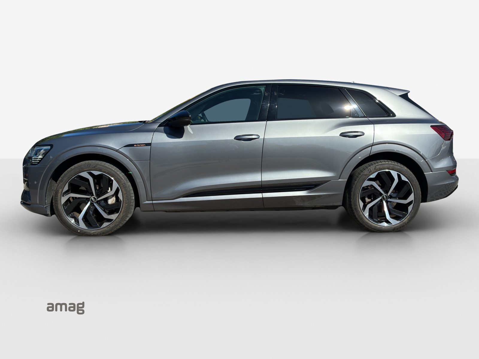 AUDI e-tron 55 Advanced quattro-image-1