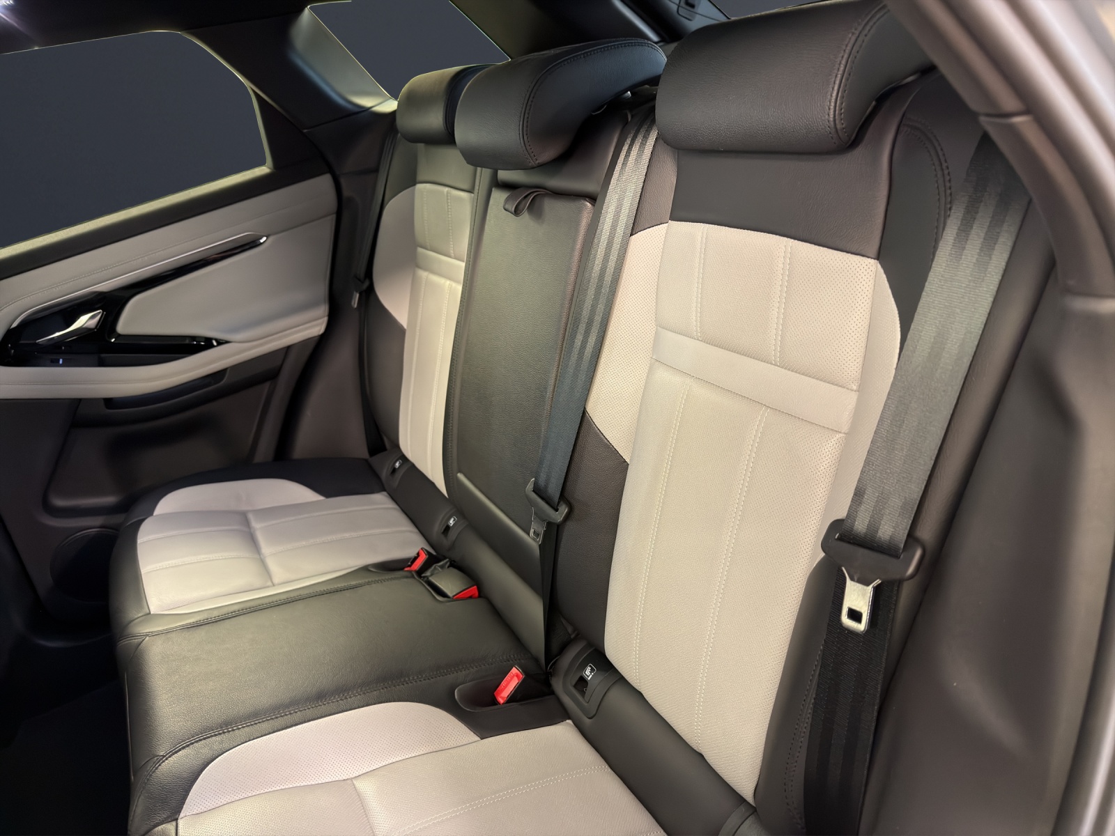 Image LAND-ROVER RANGE-ROVER-EVOQUE Evoque R-Dynamic SE