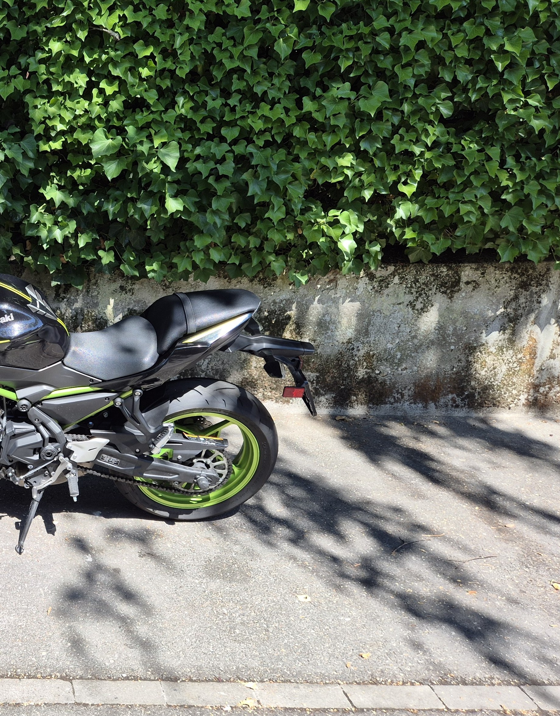 KAWASAKI Z 650 (35kW)-image-9
