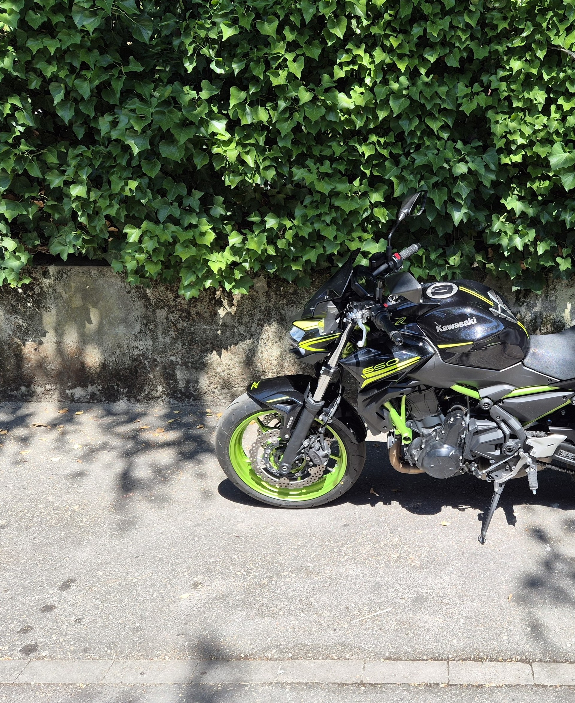 KAWASAKI Z 650 (35kW)-image-8