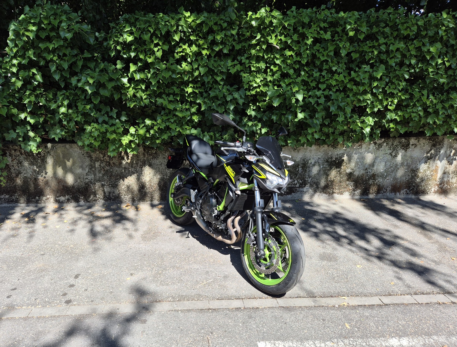 KAWASAKI Z 650 (35kW)-image-4