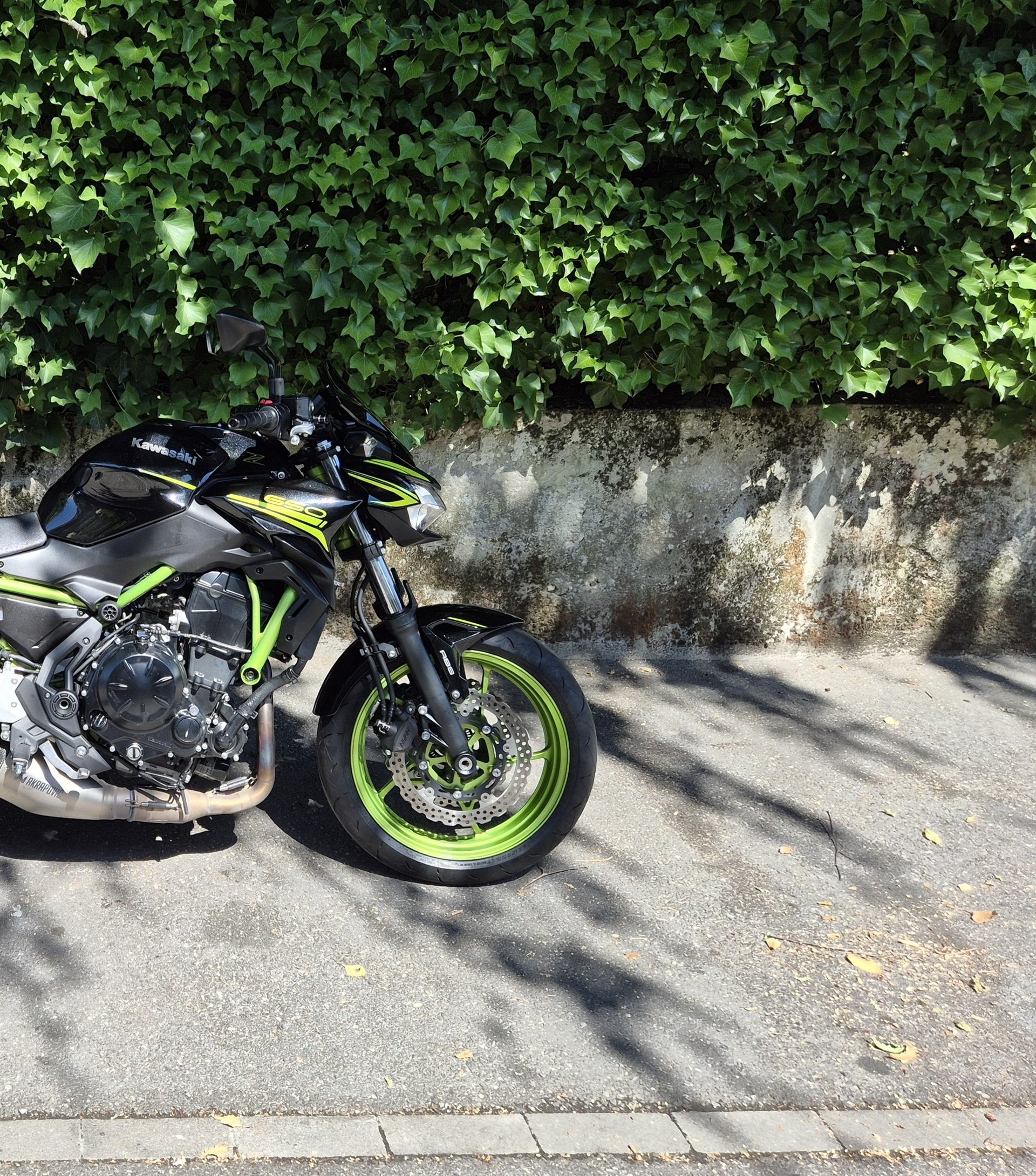 KAWASAKI Z 650 (35kW)-image-10