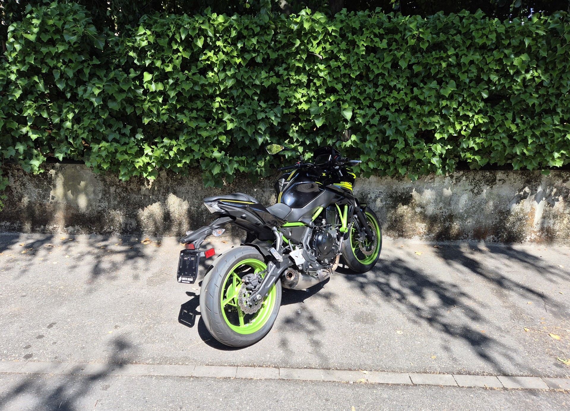 KAWASAKI Z 650 (35kW)-image-5