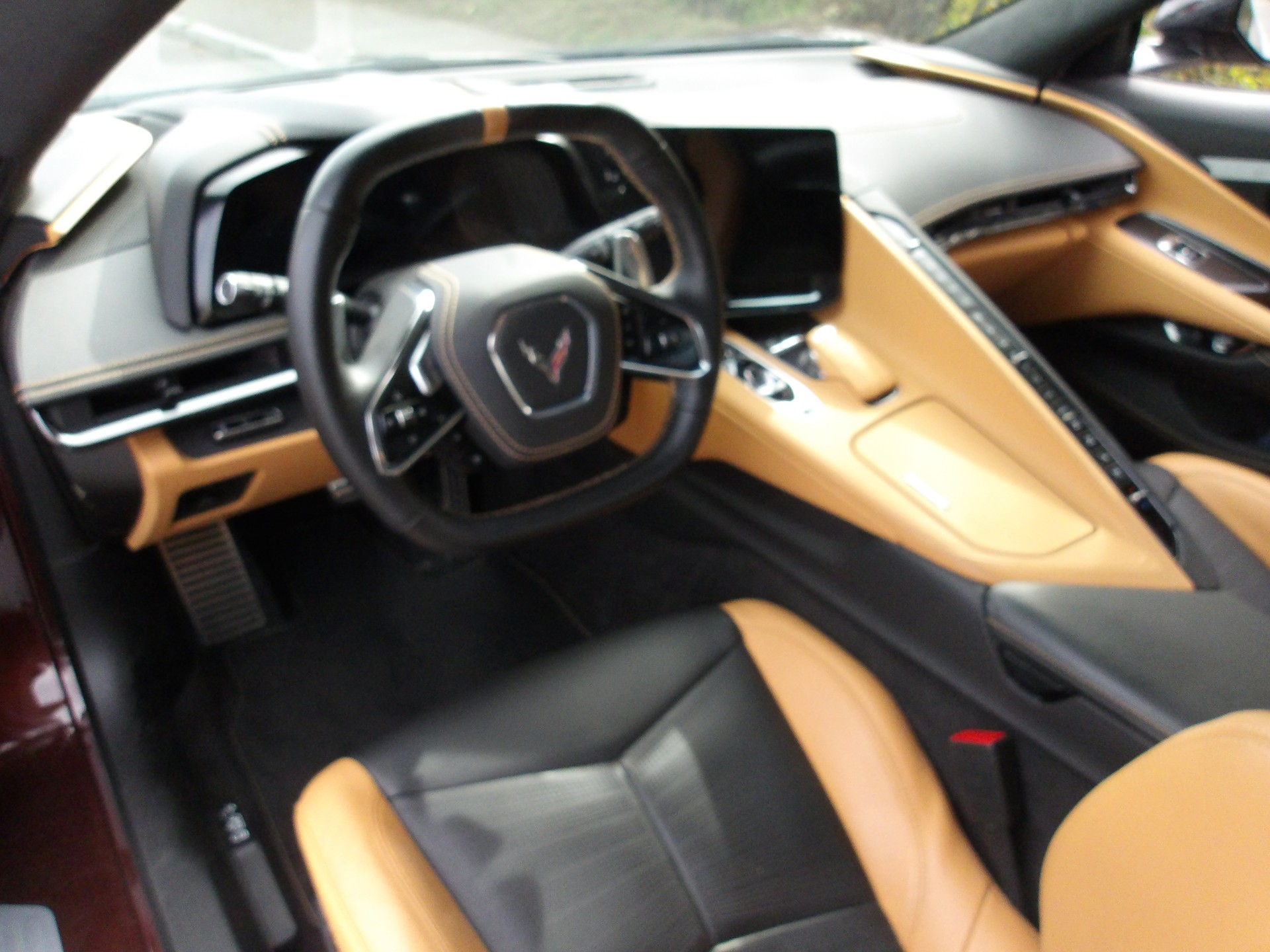 CHEVROLET C8 Cabriolet-image-9