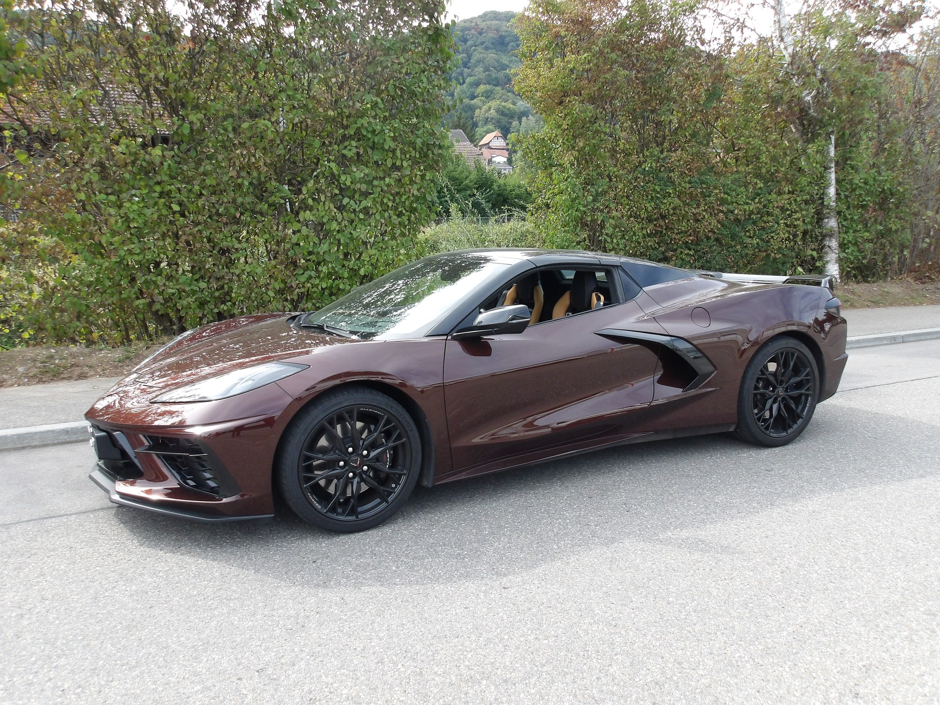 CHEVROLET C8 Cabriolet-image-0