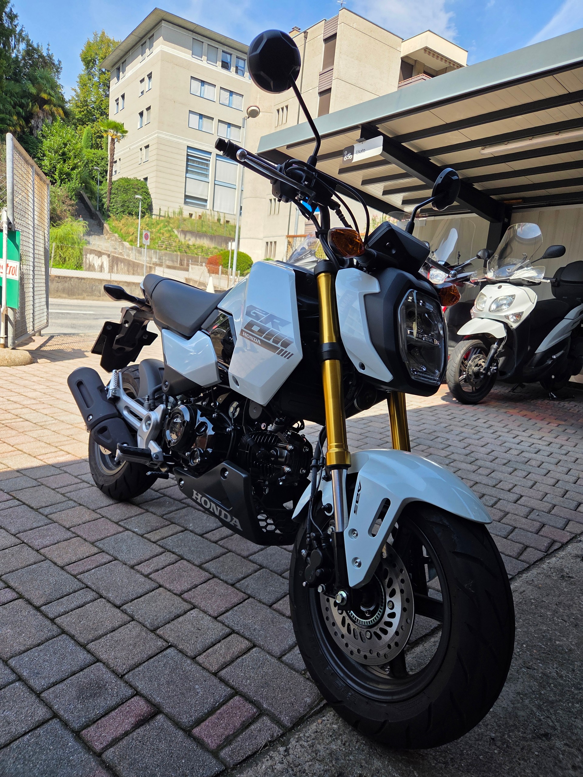 HONDA MSX 125-image-2