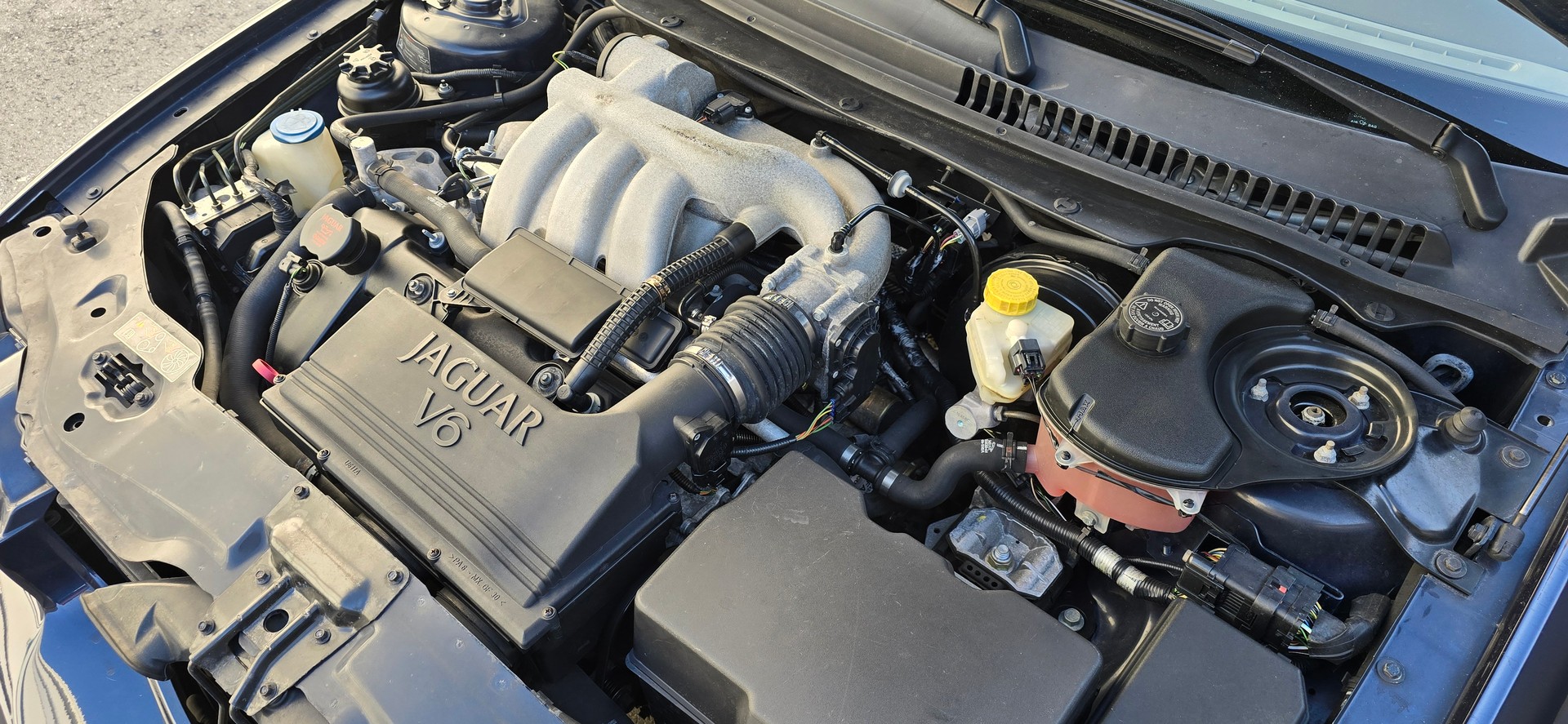 JAGUAR X-Type 3.0 V6 Traction4 Executive-image-23