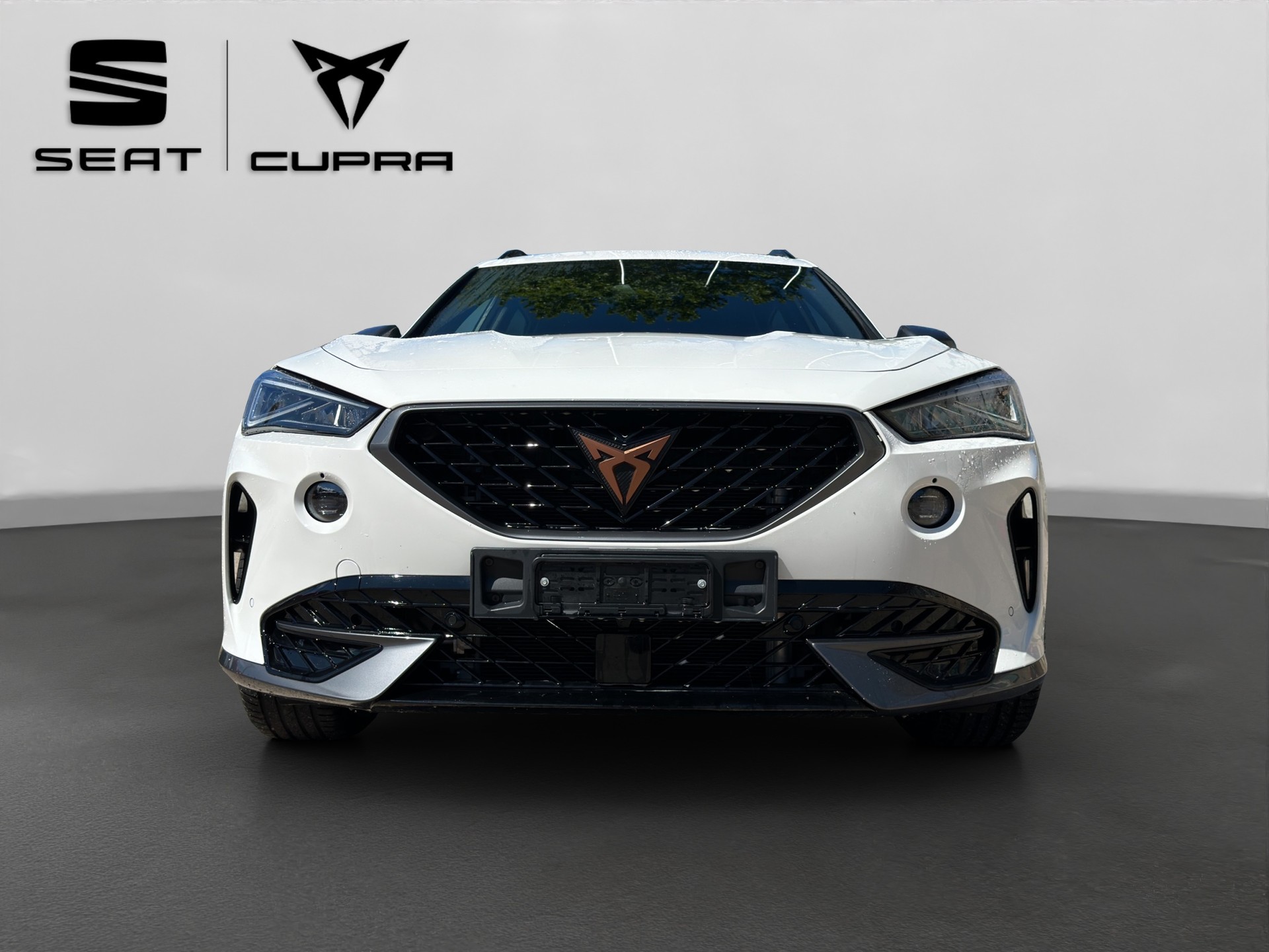 CUPRA Formentor 2.0TSI 245 cv VZ DSG-image-1