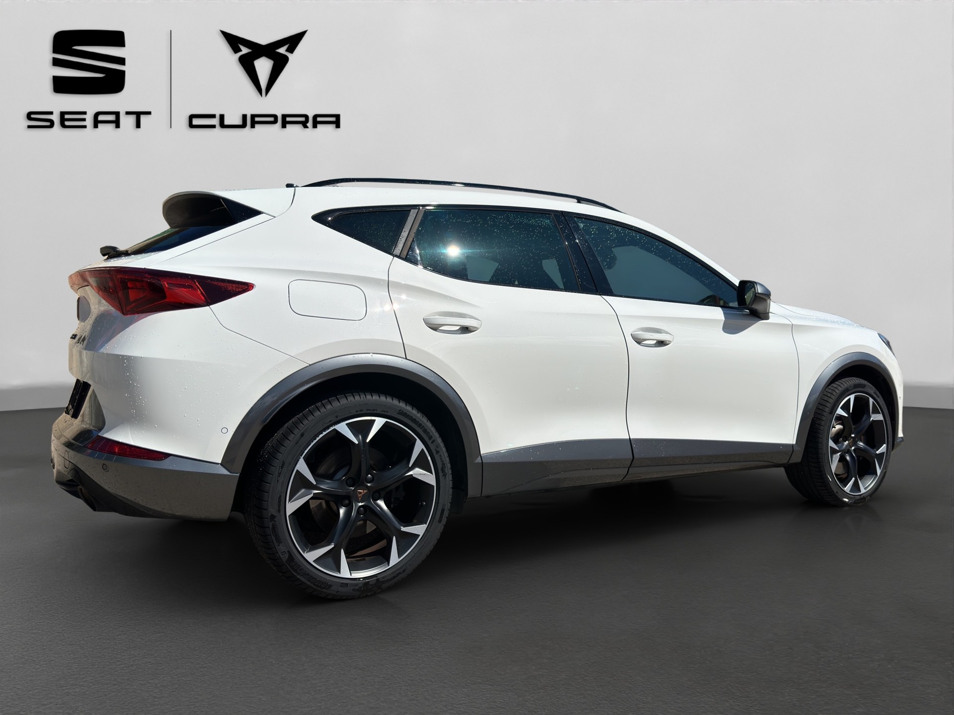CUPRA Formentor 2.0TSI 245 cv VZ DSG-image-7