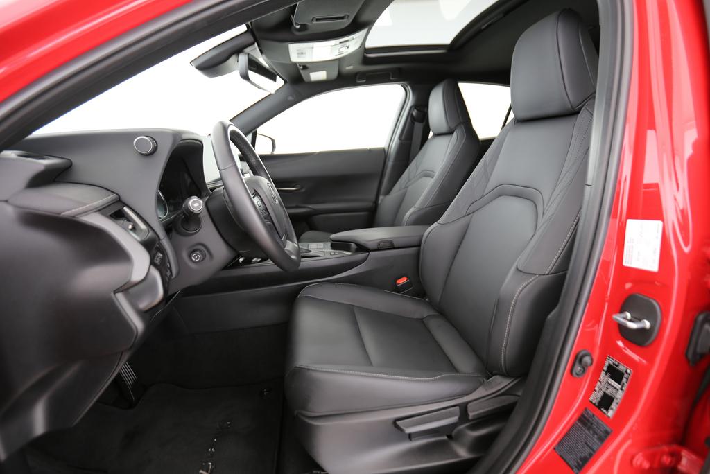 LEXUS UX 250h F-Line-image-3