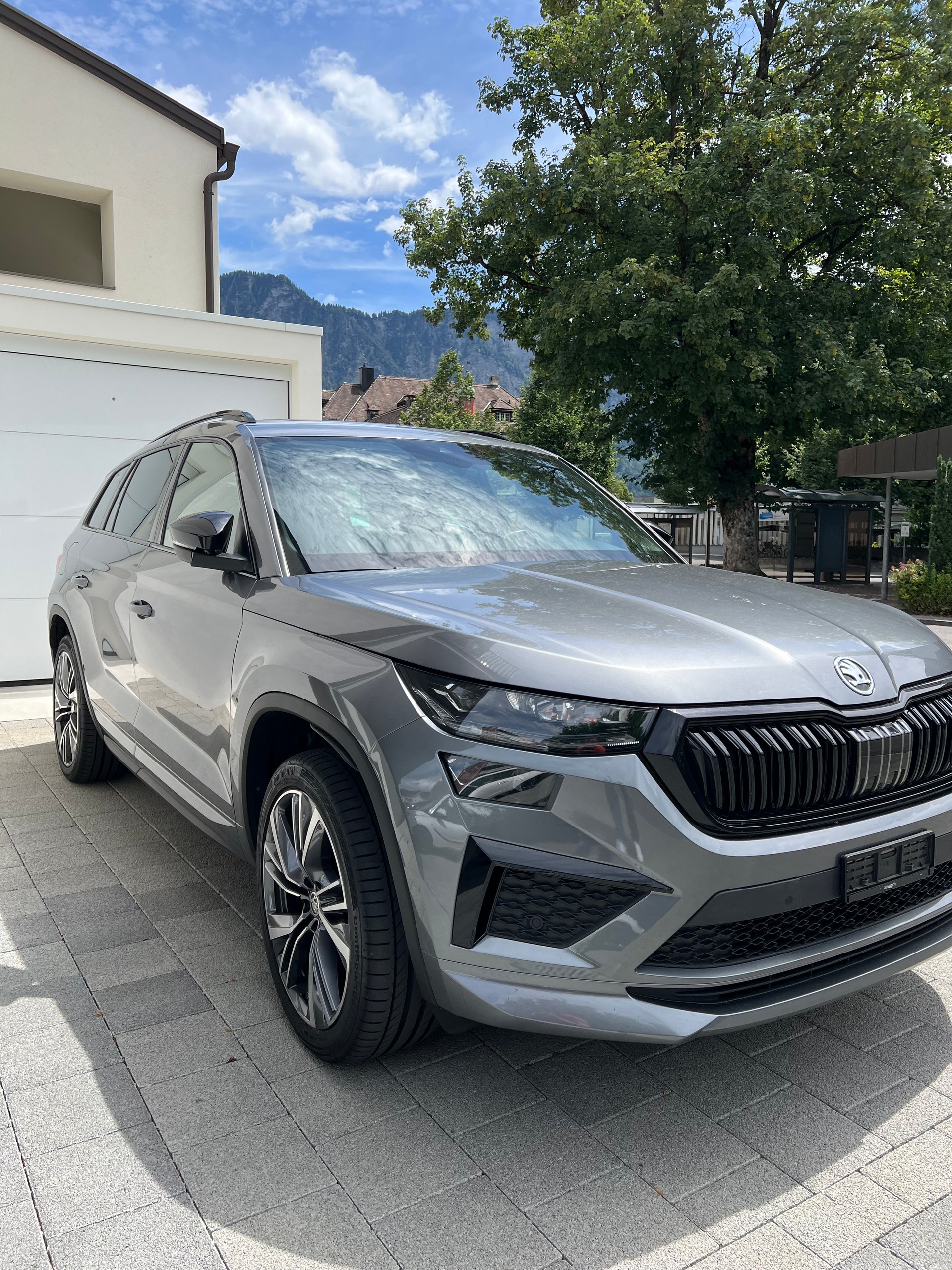 SKODA 2.0 TSI RS DSG-image-1