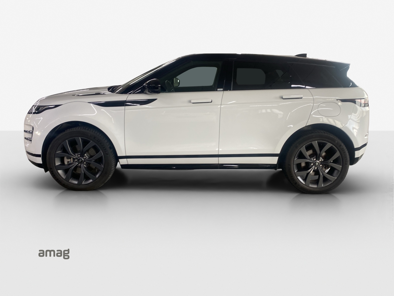 LAND ROVER Range Rover Evoque P 300e SE AT8-image-1