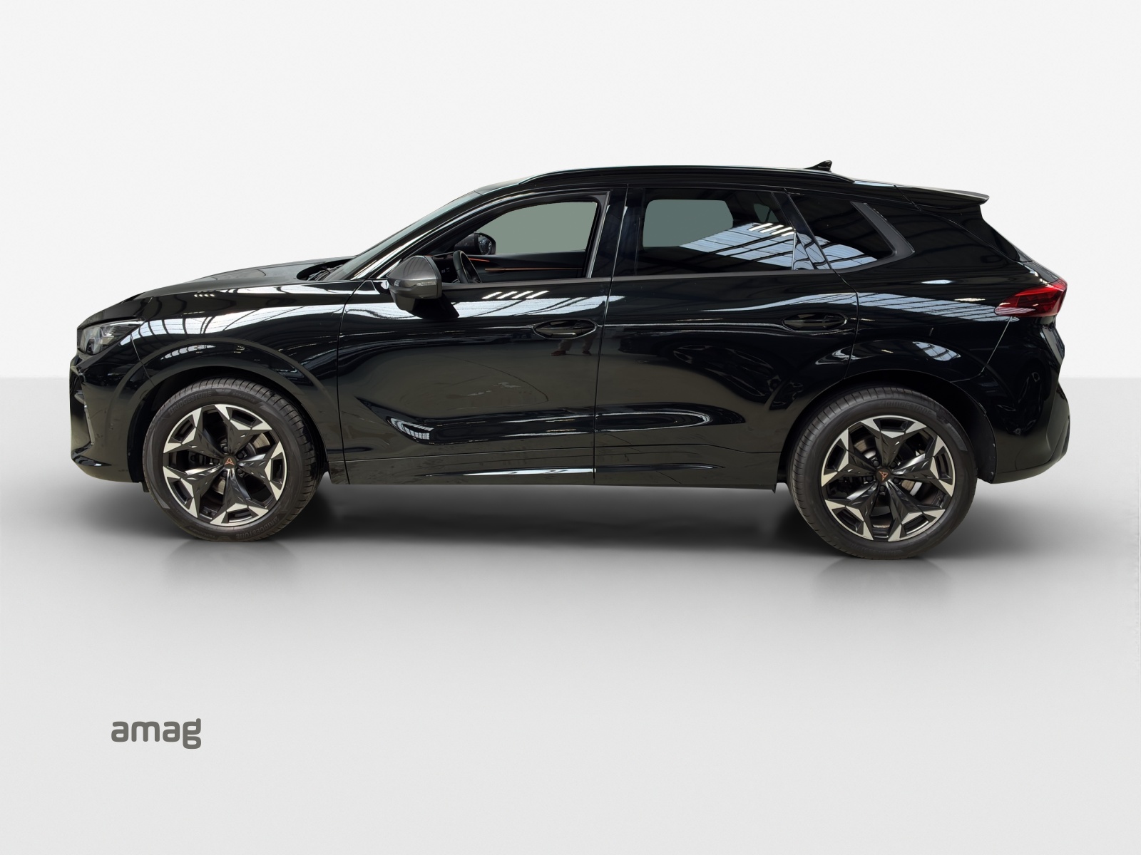 CUPRA Terramar 2.0 TSI DSG 4Drive VZ-image-1