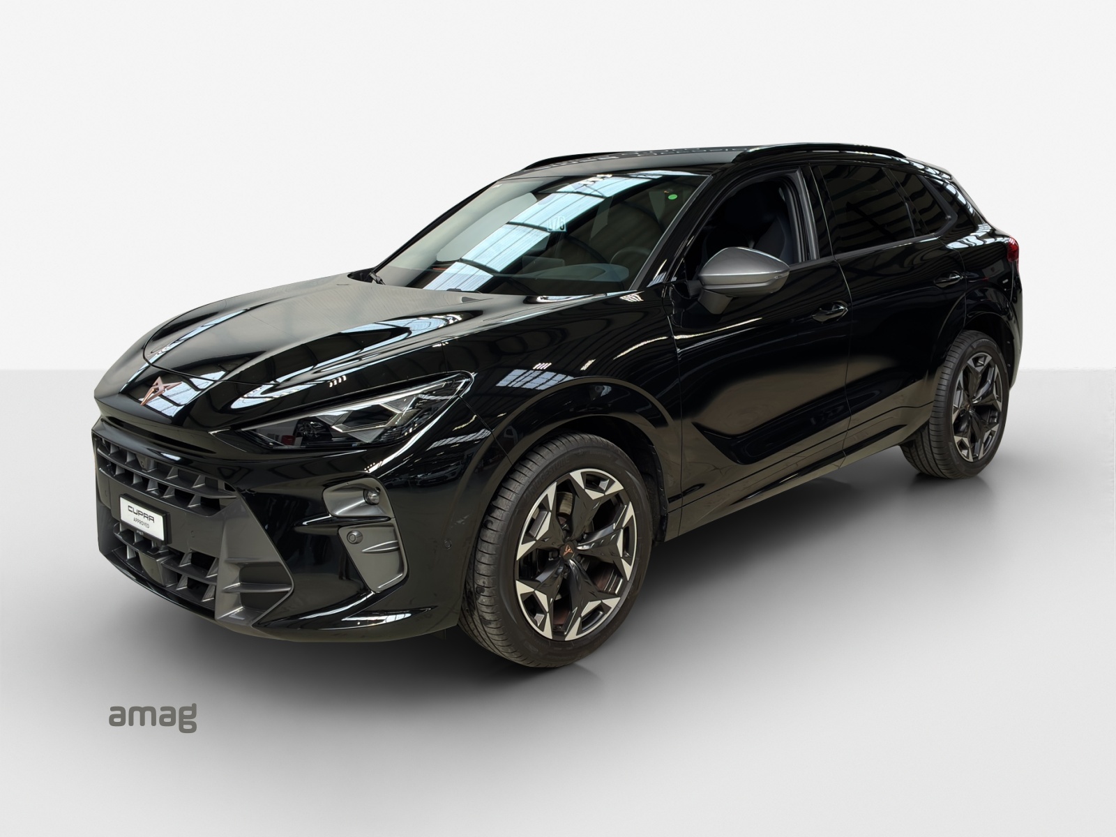 CUPRA Terramar 2.0 TSI DSG 4Drive VZ-image-0