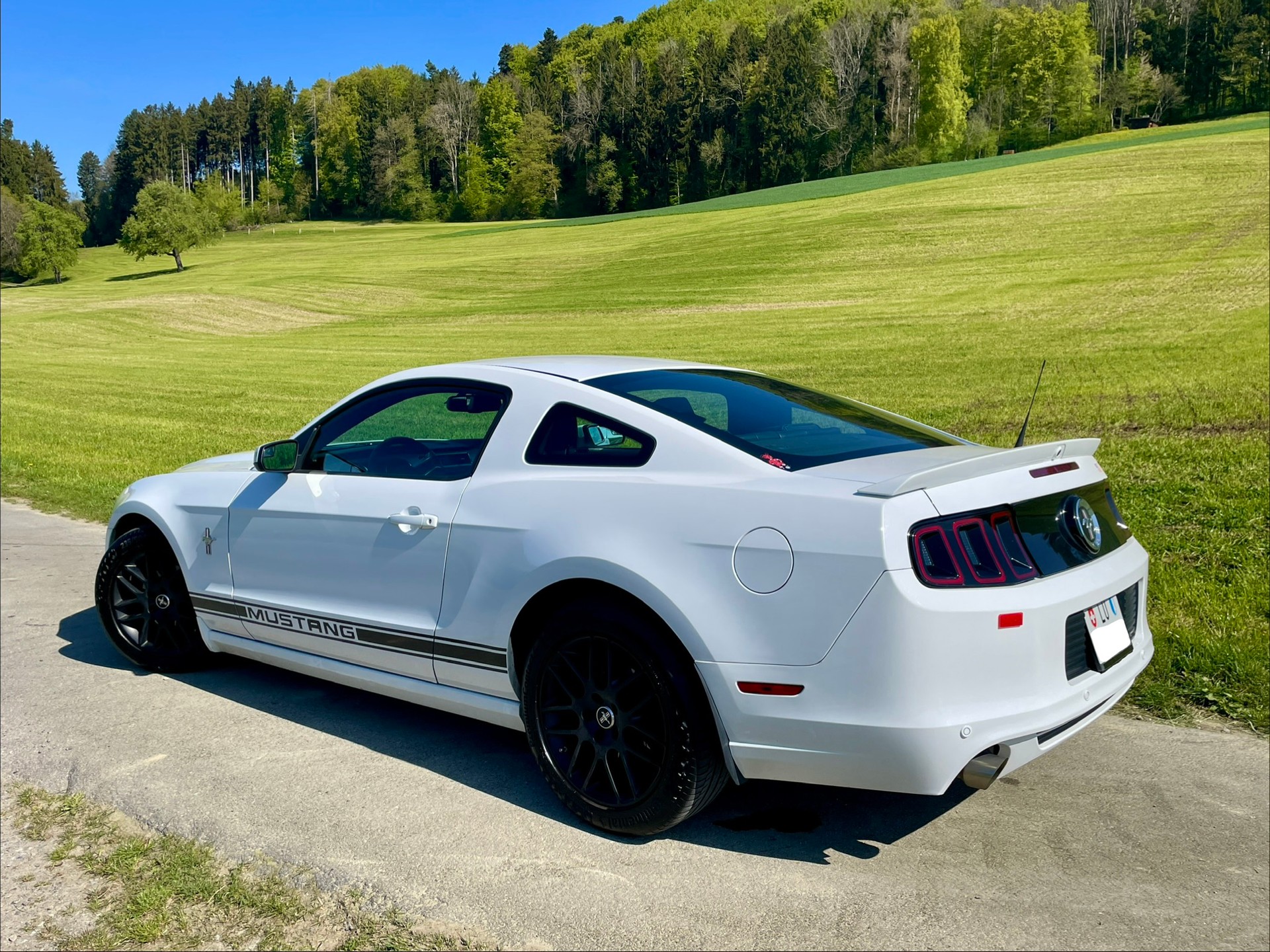 FORD 3,7L V6 - Pony Edition-image-3