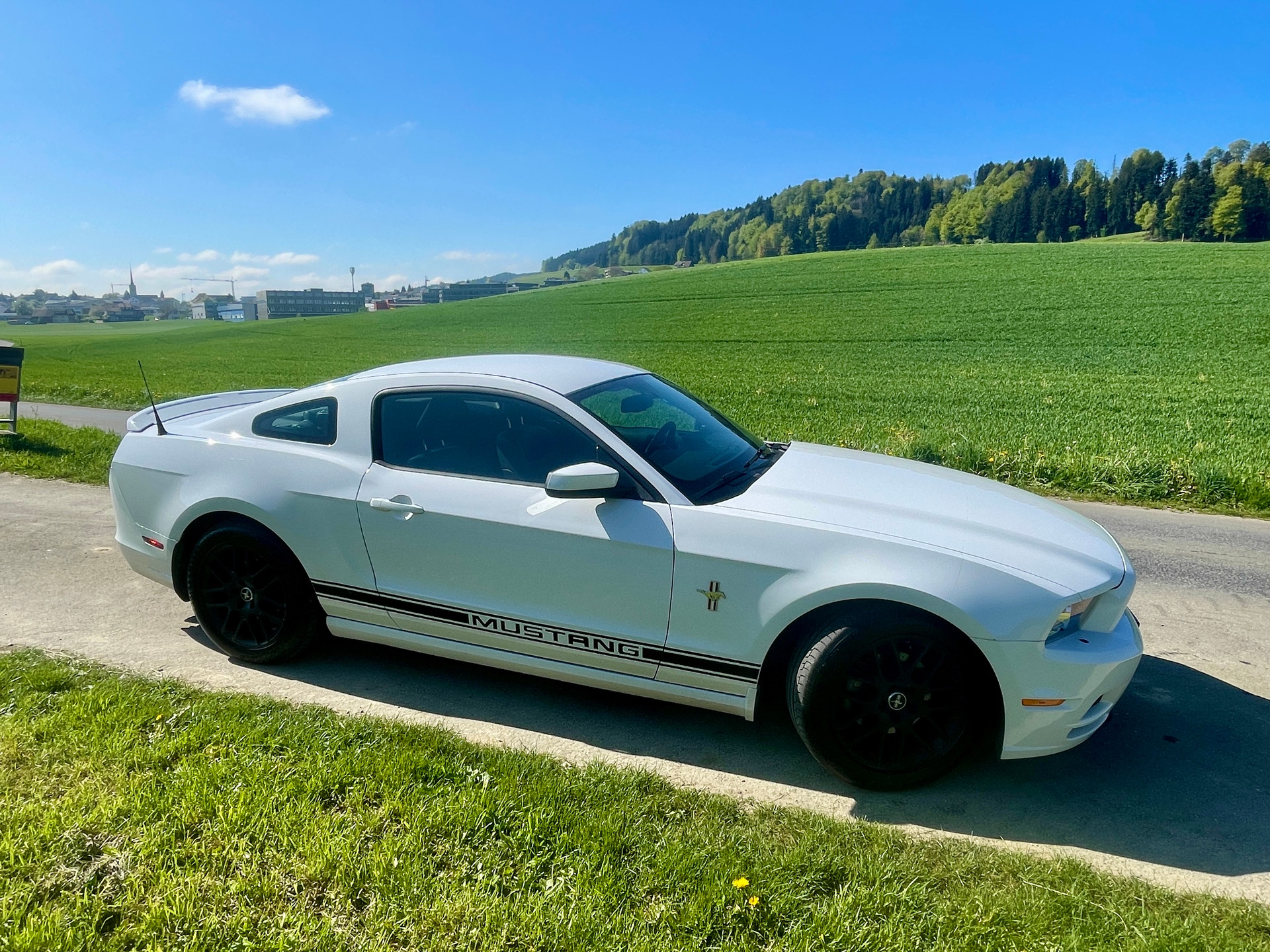 FORD 3,7L V6 - Pony Edition-image-1
