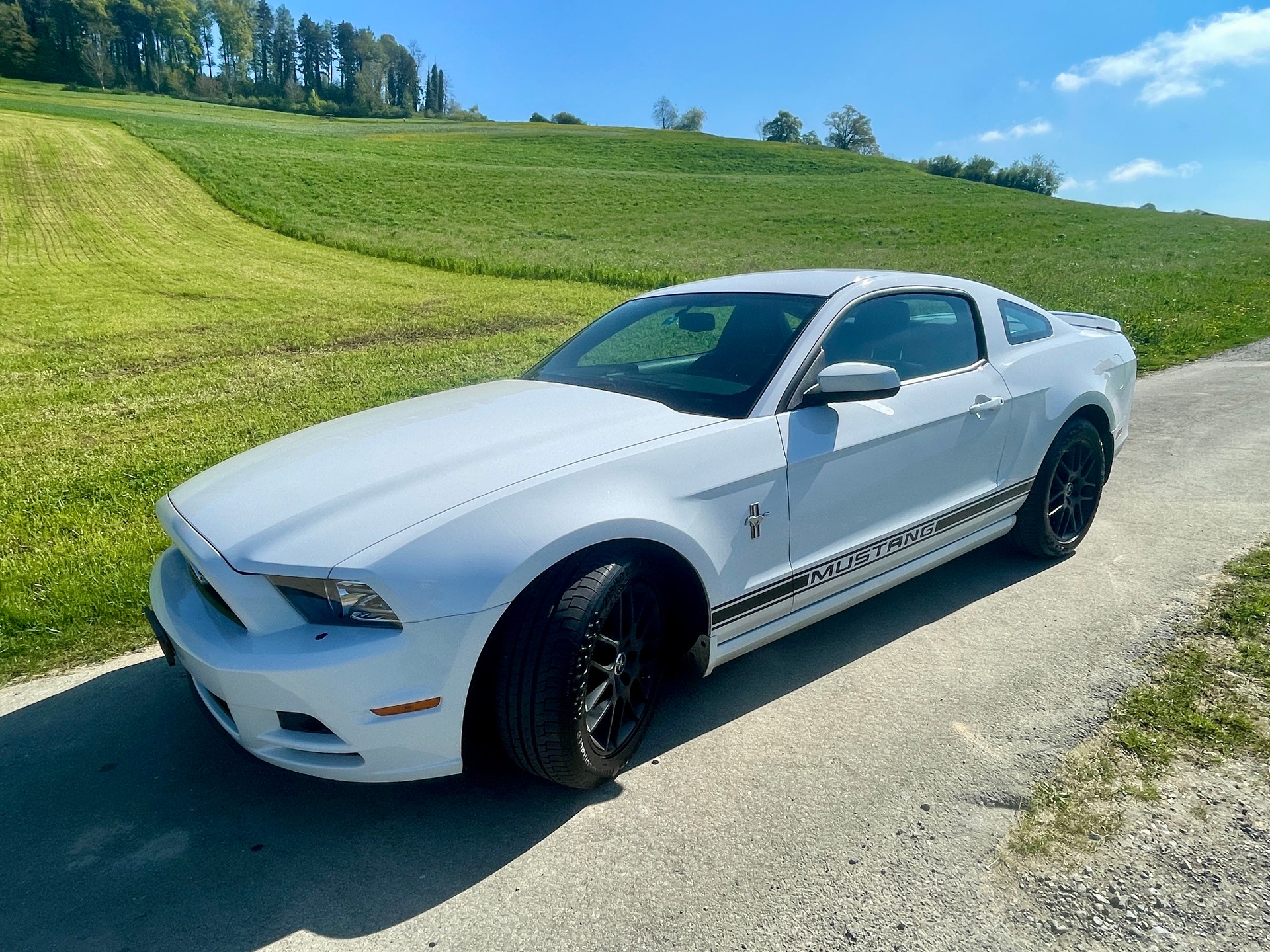 FORD 3,7L V6 - Pony Edition