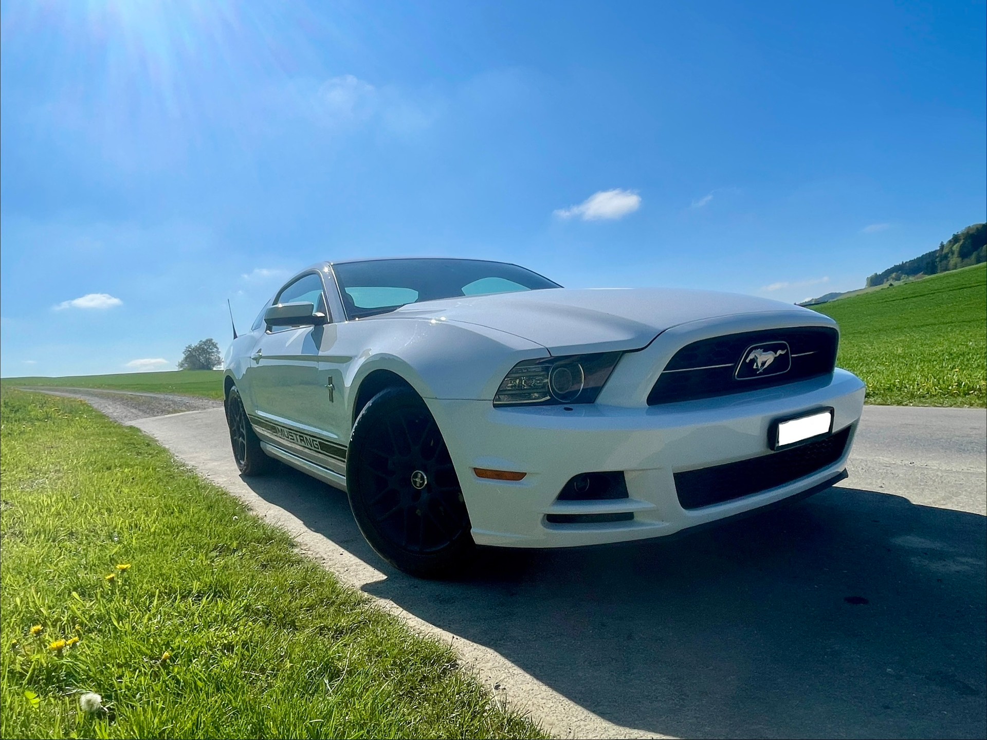 FORD 3,7L V6 - Pony Edition-image-4
