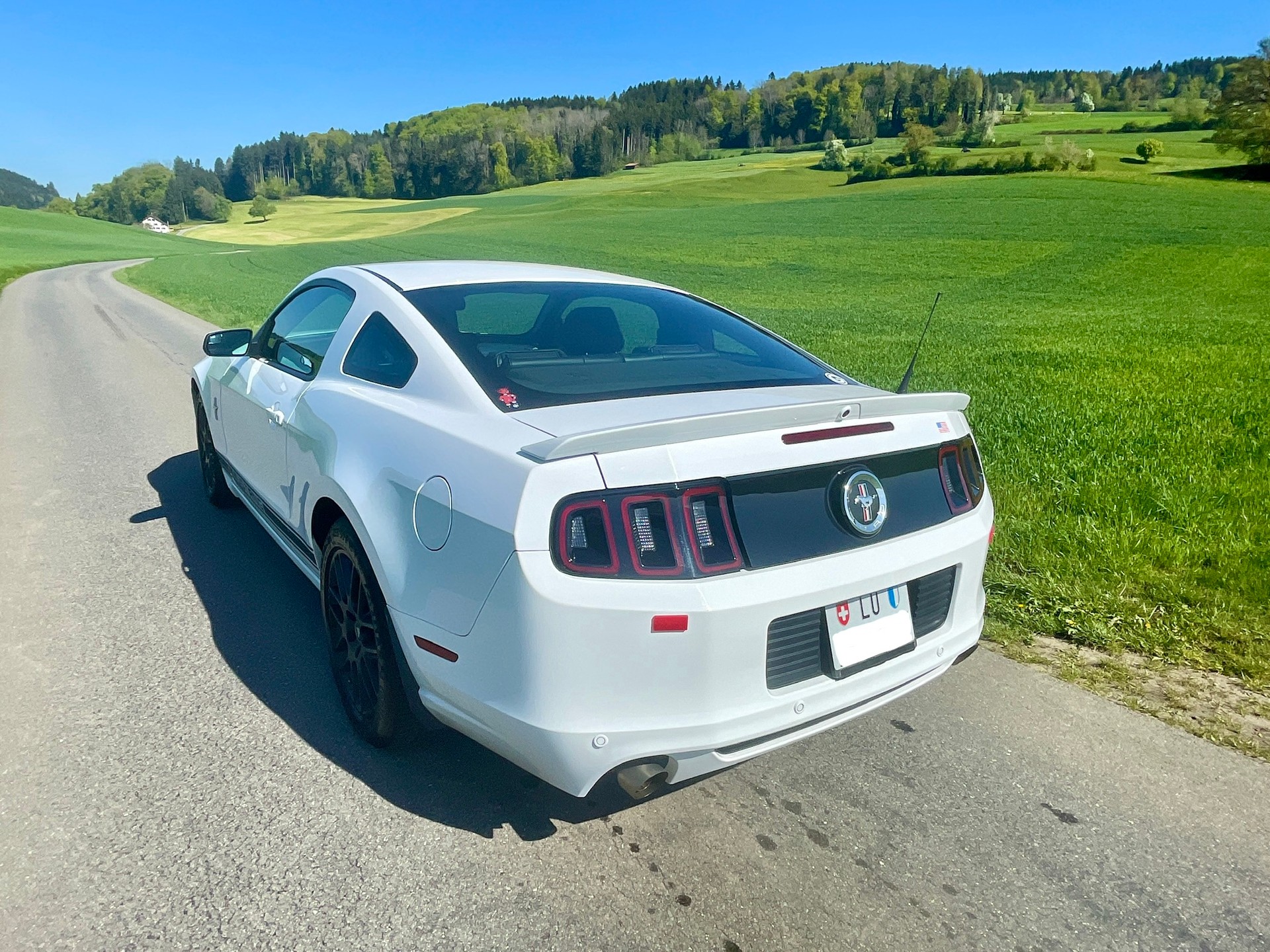 FORD 3,7L V6 - Pony Edition-image-2
