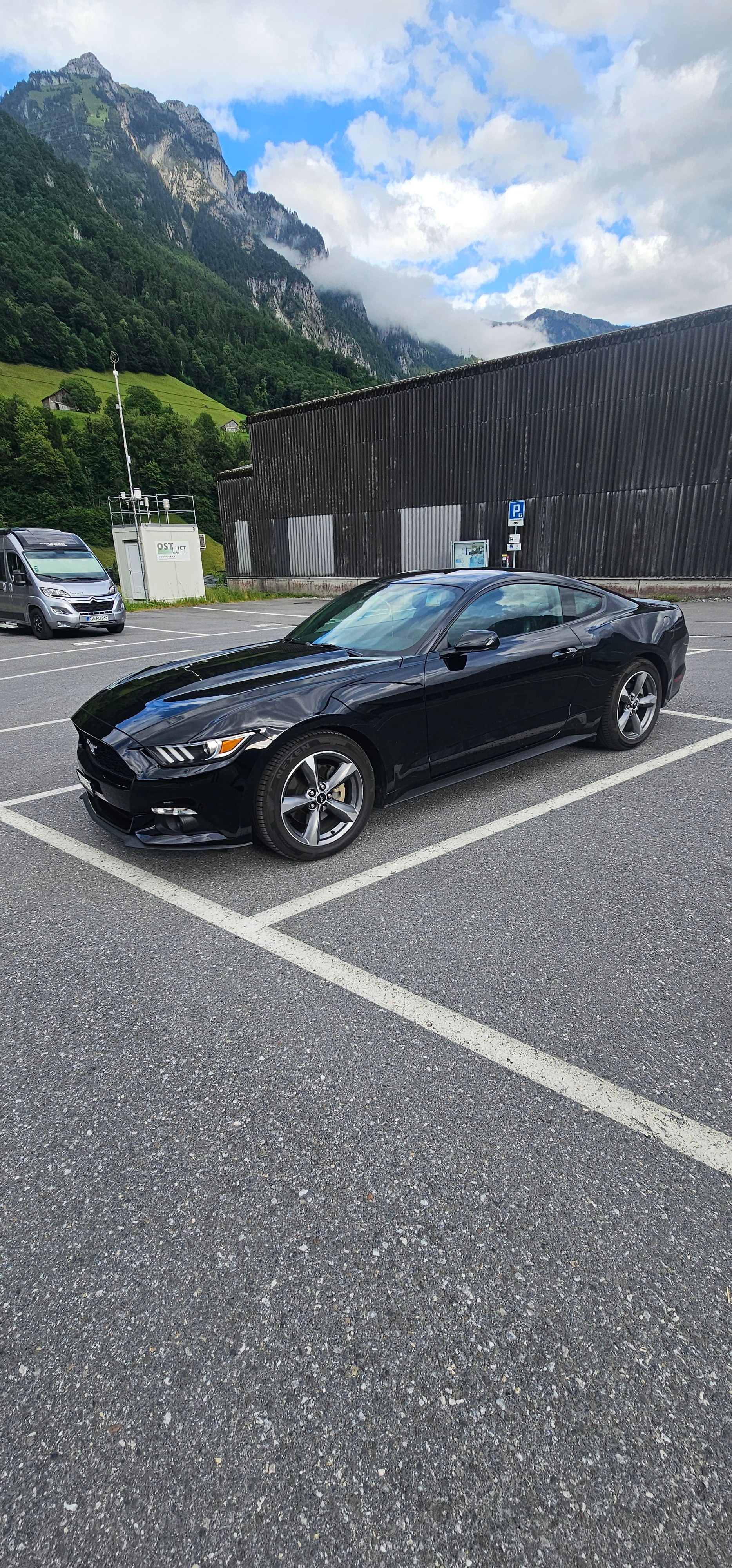 FORD MUSTANG-image-0