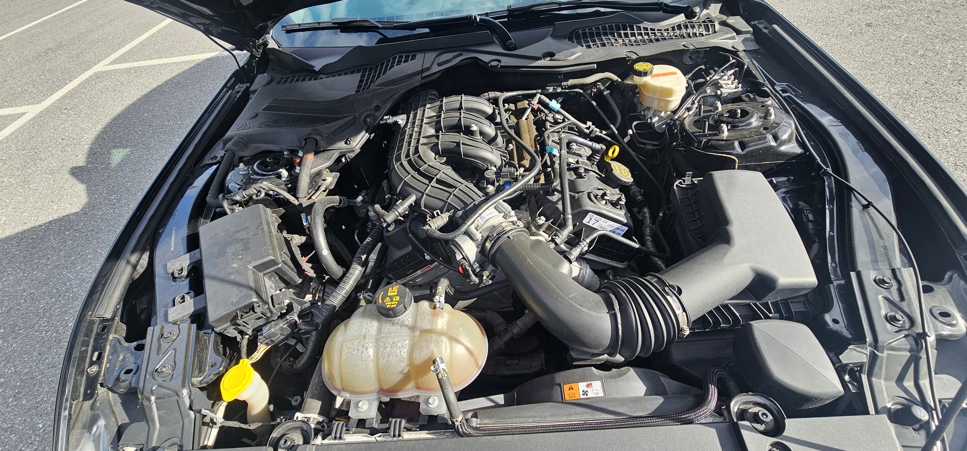 FORD MUSTANG-image-4