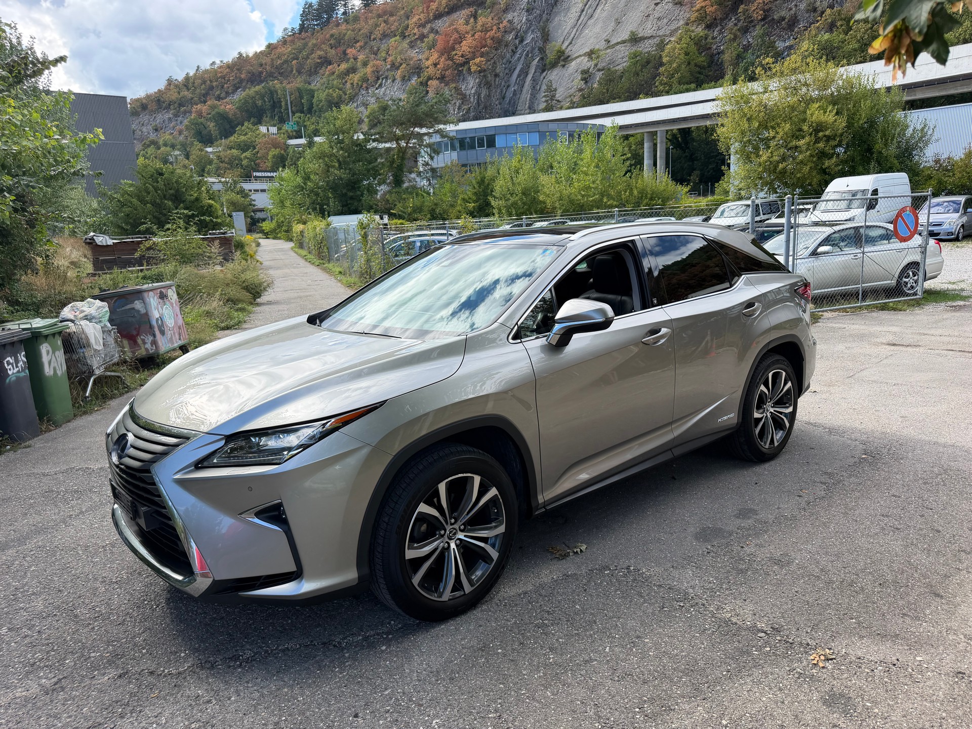 LEXUS RX 450h excellence AWD CVT-image-1