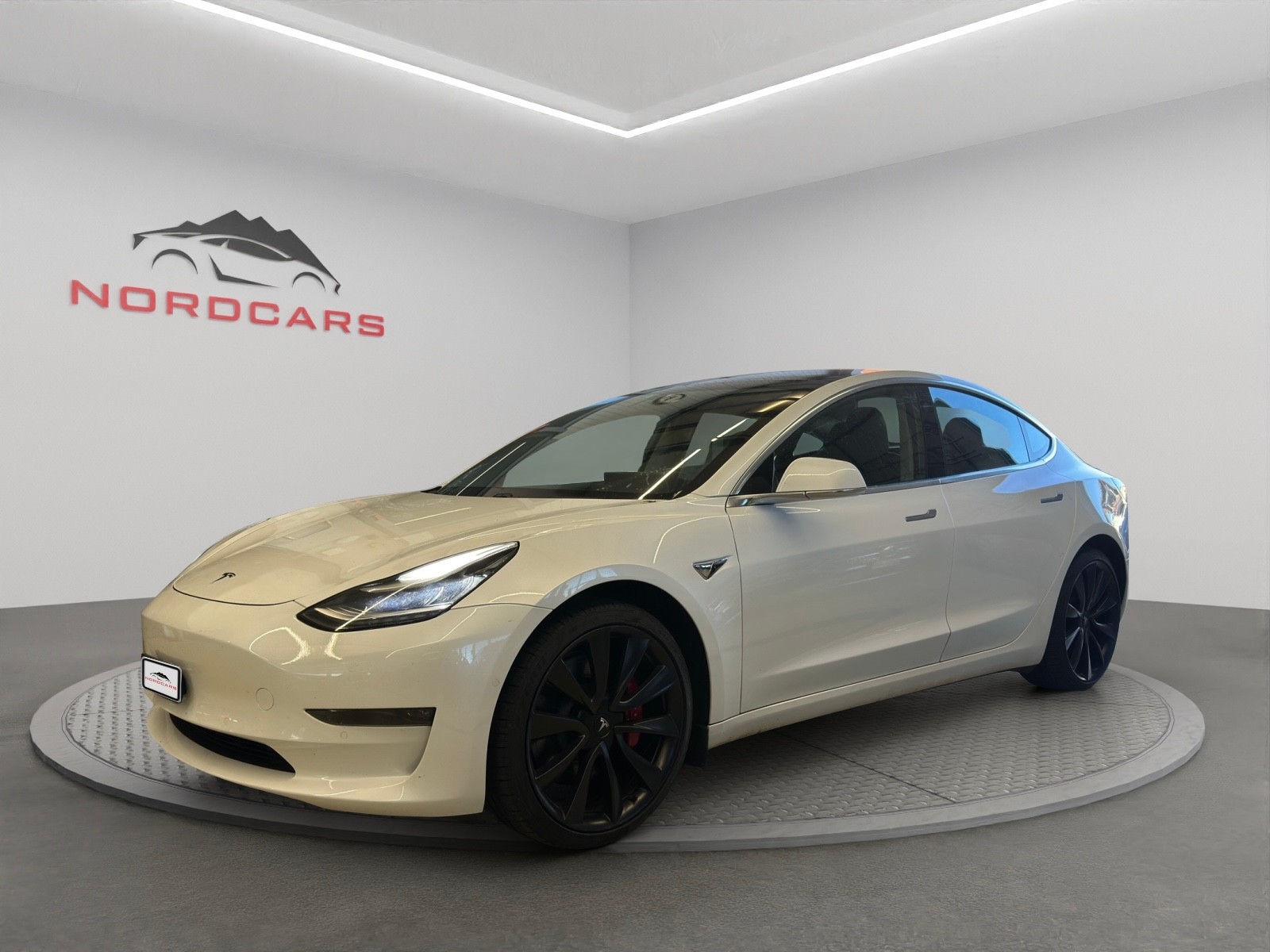 TESLA Model 3 Performance Dual Motor AWD-image-0
