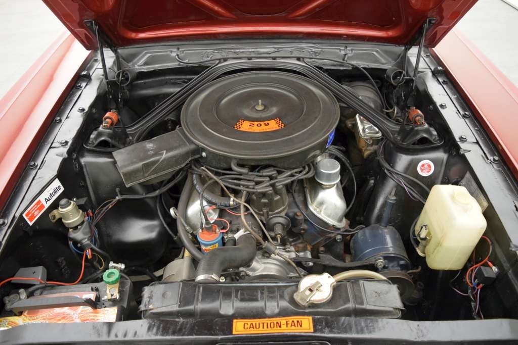 FORD MUSTANG GT Convertible V8 A-Code-image-13