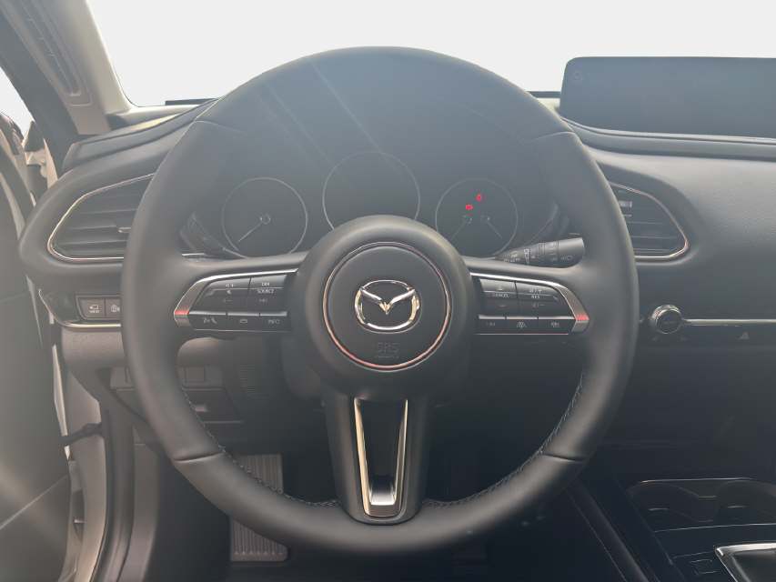 MAZDA CX-30 2.0/186 Exclusive-Line 4x4-image-12