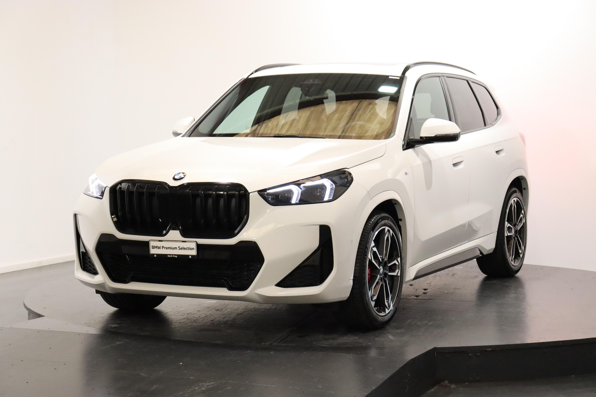 BMW X1 20d xDrive paddles-image-0