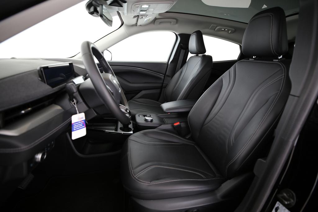 FORD Mustang Mach-E Standard-image-3