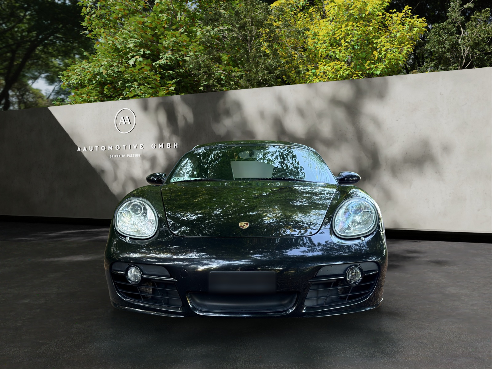 PORSCHE Cayman S-image-1