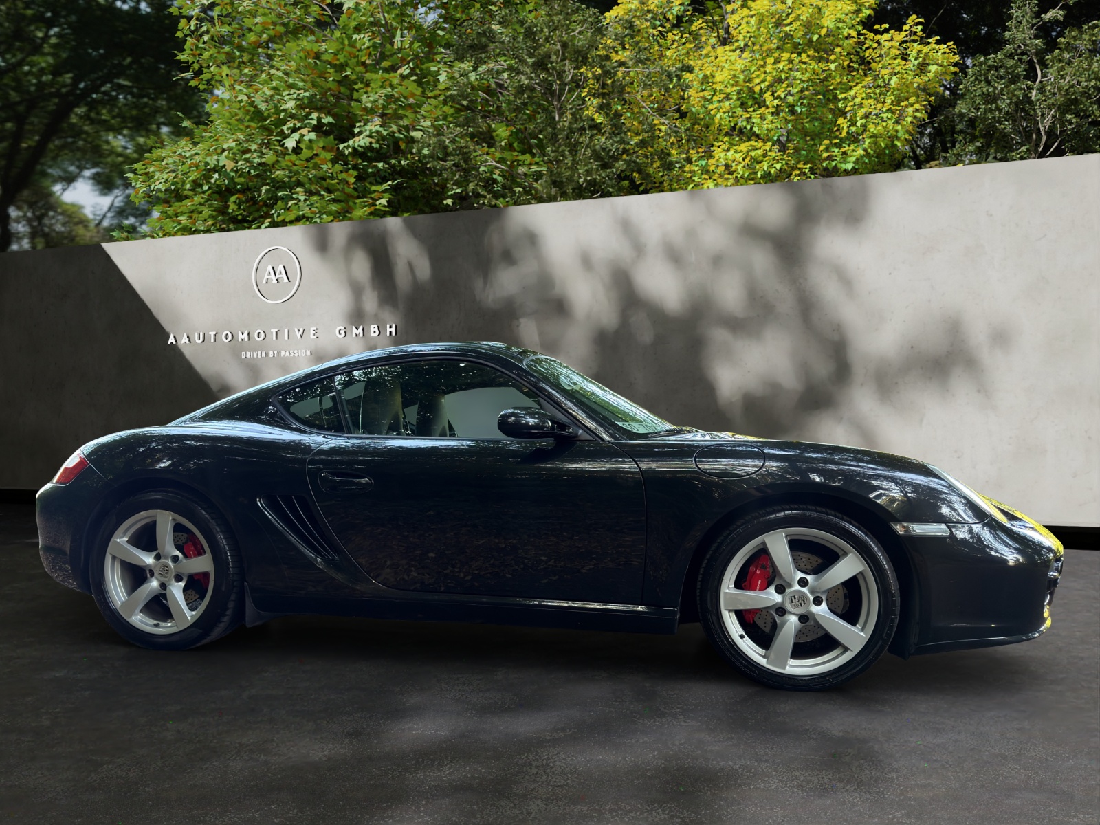 PORSCHE Cayman S-image-6