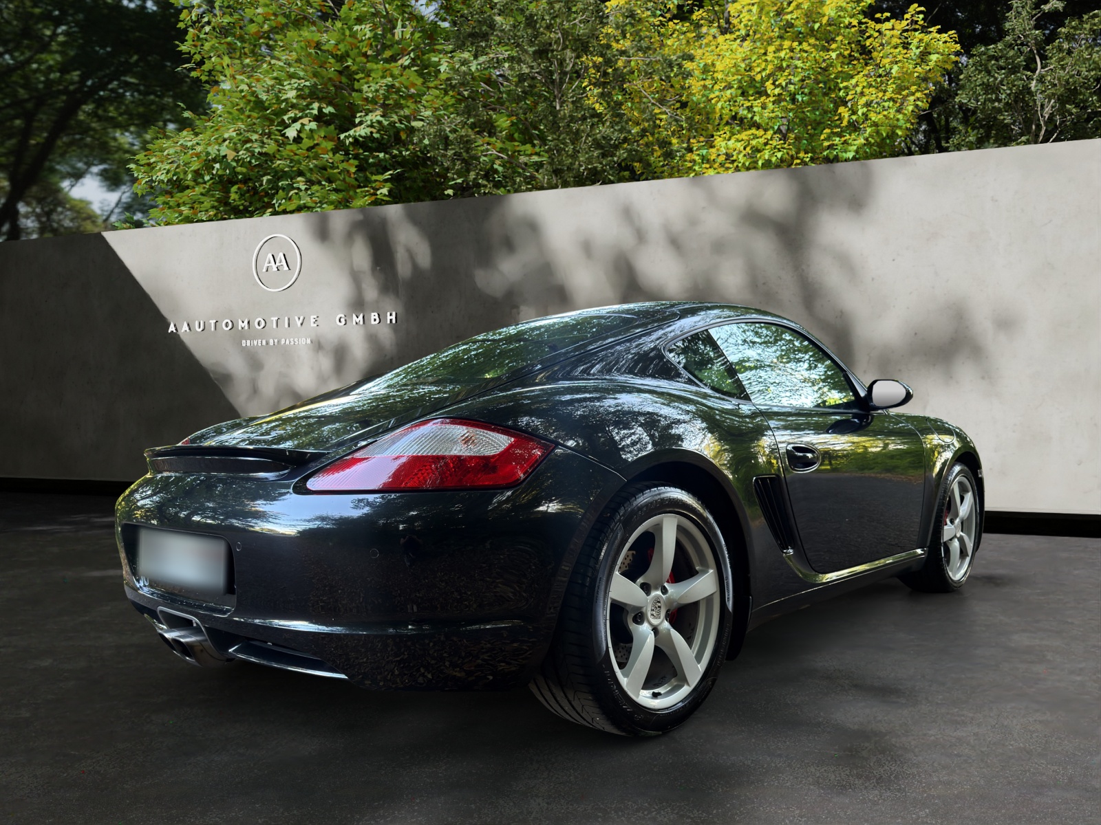 PORSCHE Cayman S-image-5