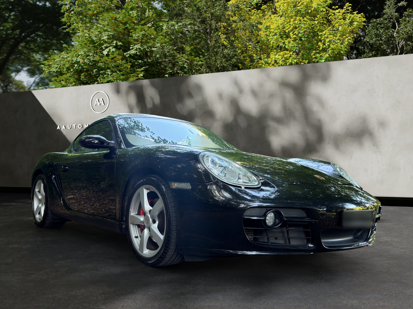 PORSCHE Cayman S-image-7
