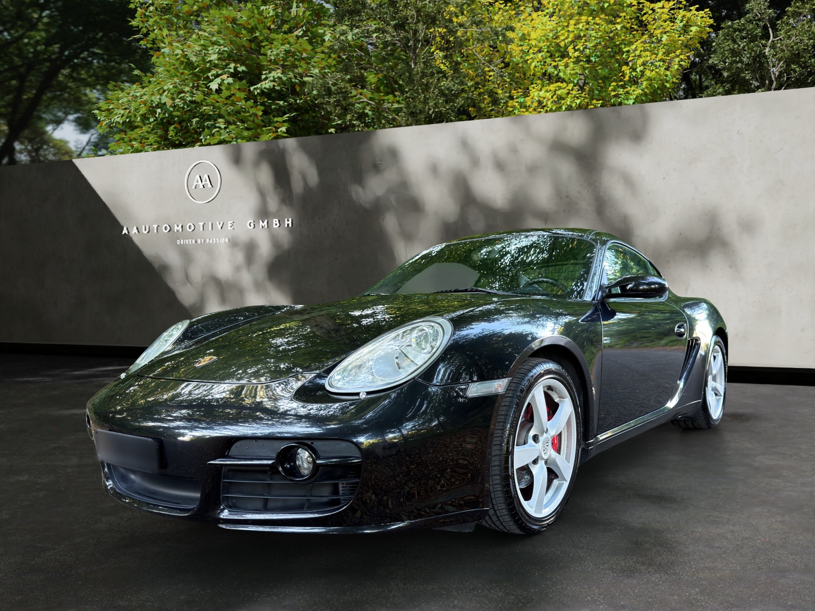 PORSCHE Cayman S-image-0