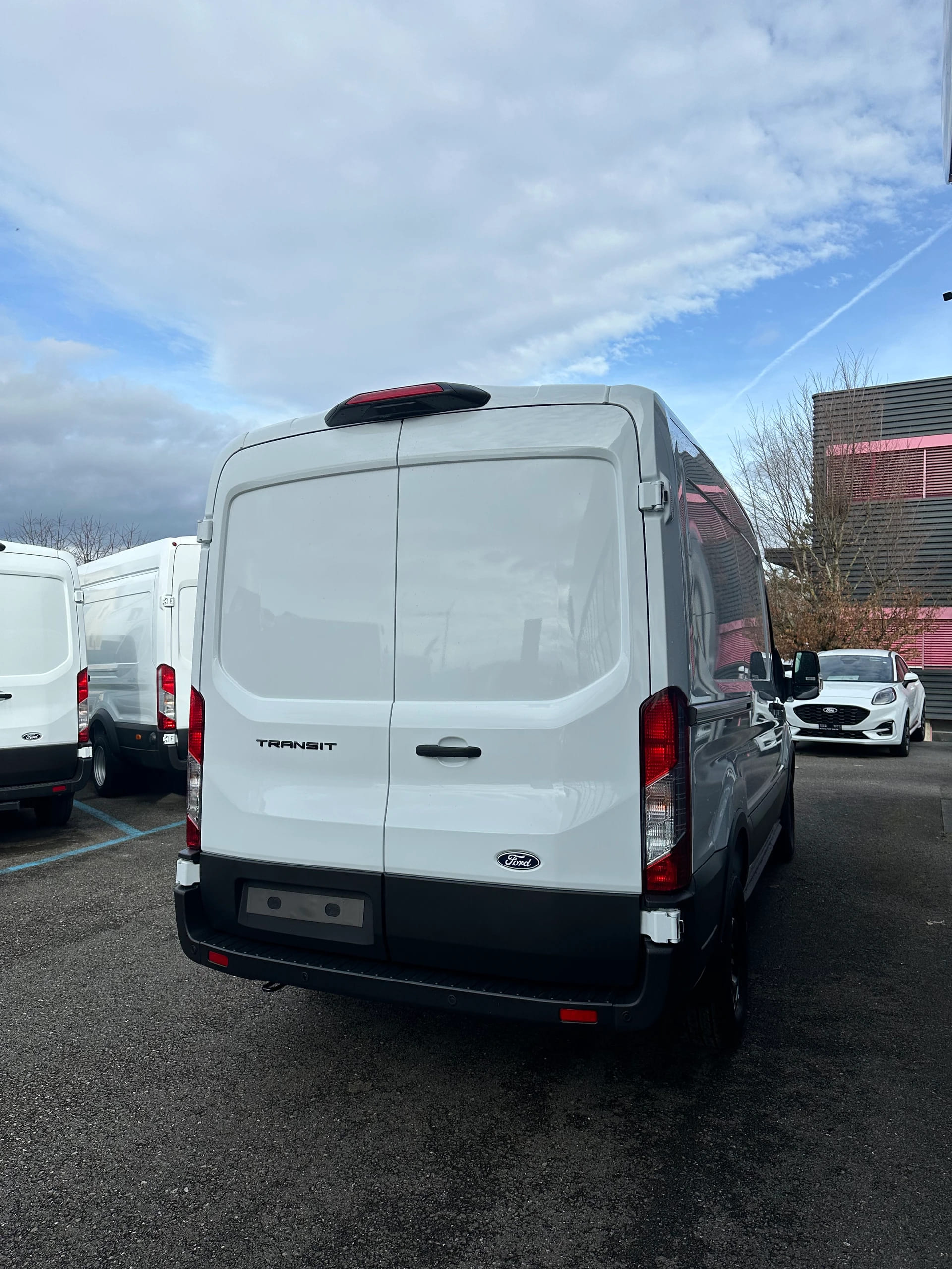 FORD Transit van 350 L2H2 2.0 EcoBl Trend/130CV-image-6