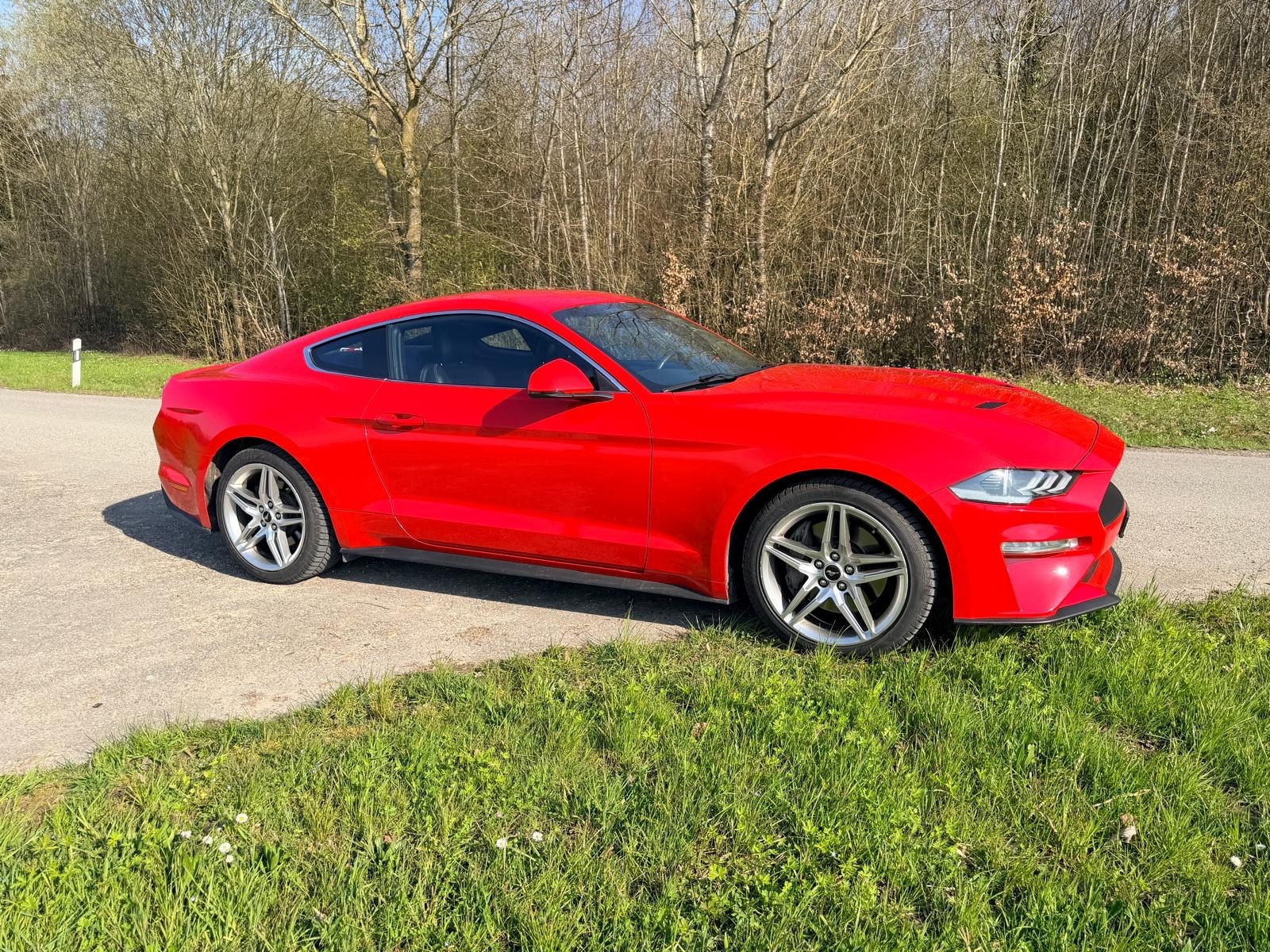 FORD Mustang Fastback 2.3-image-0