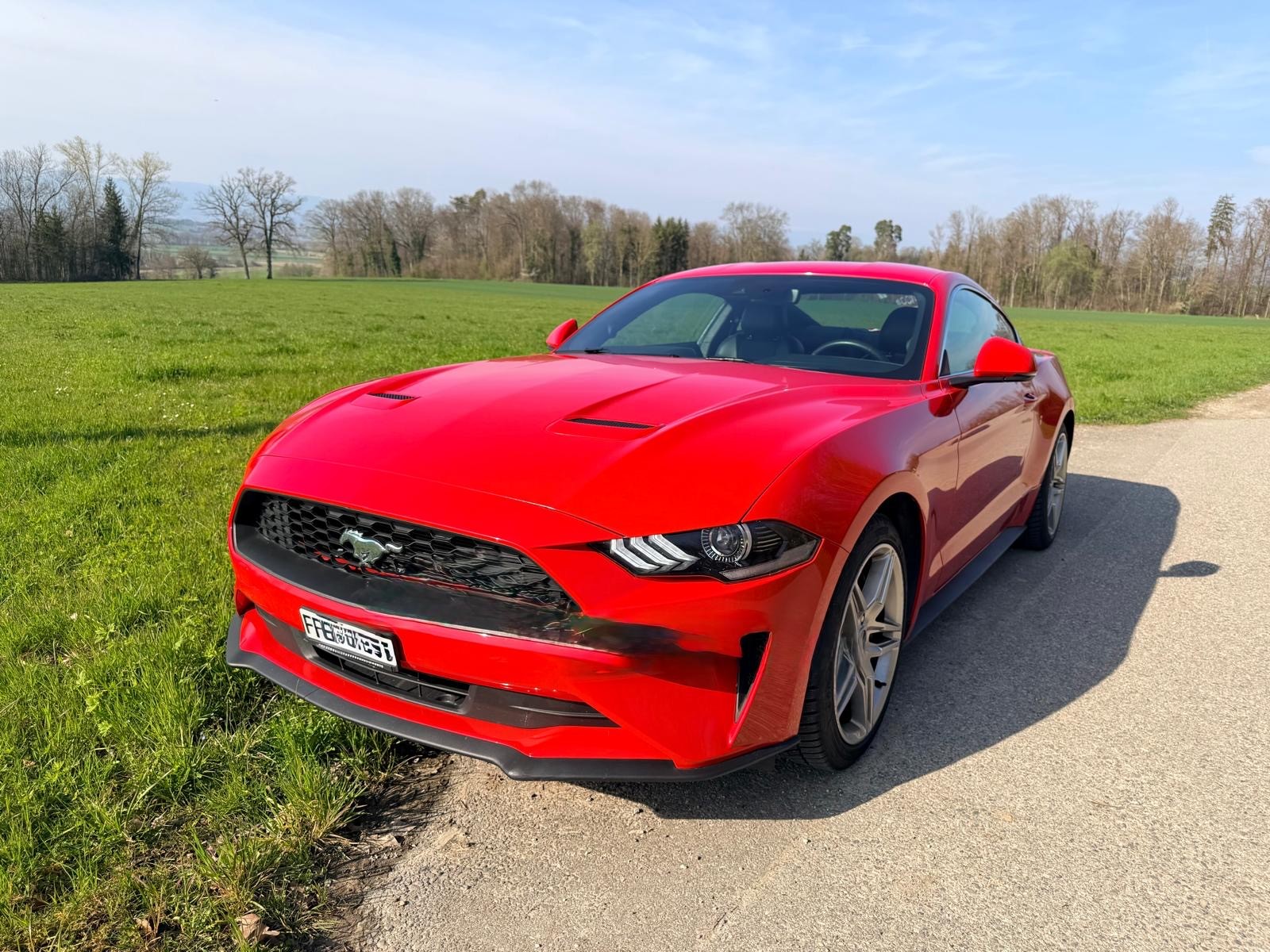 FORD Mustang Fastback 2.3-image-1