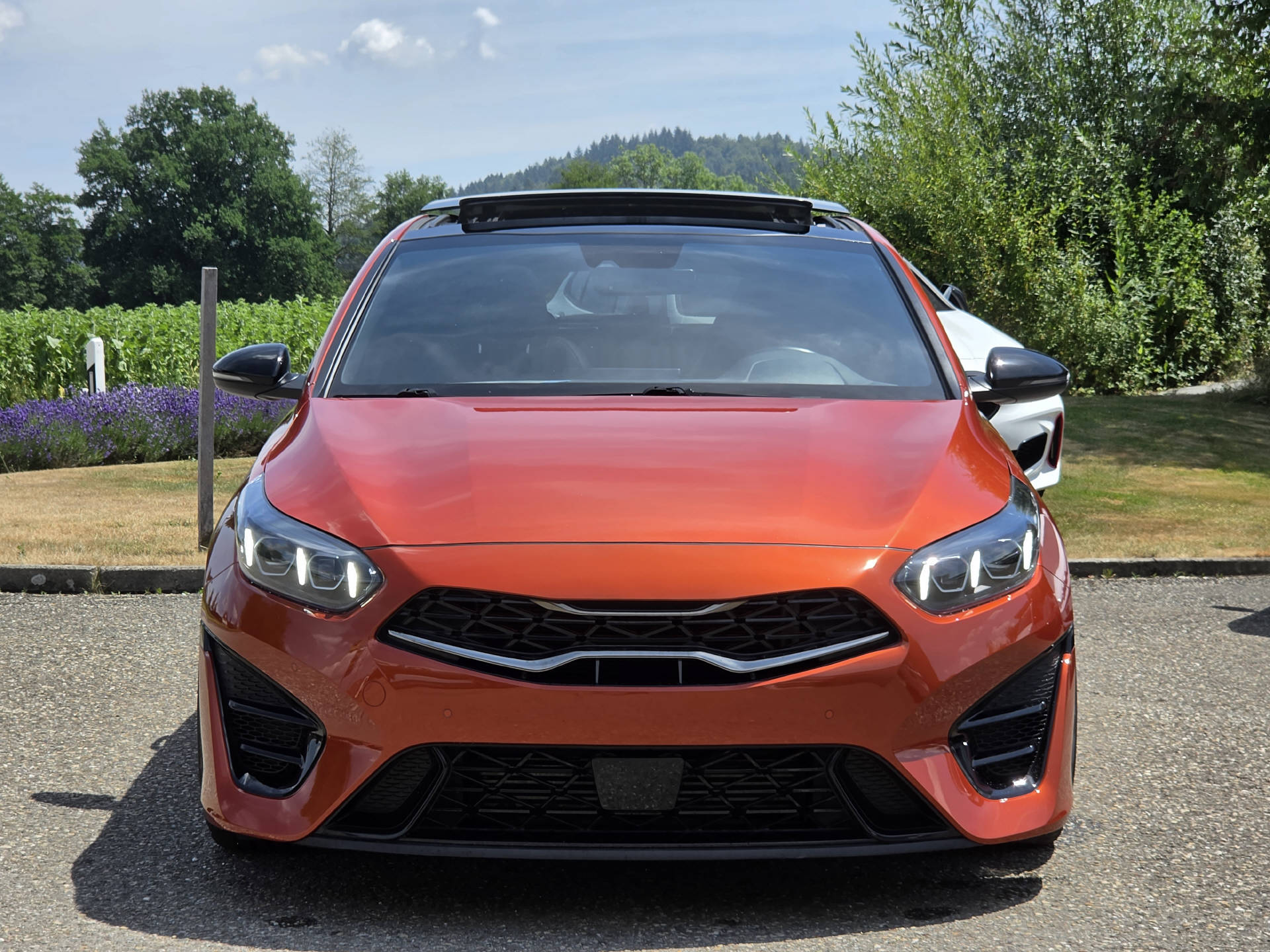 KIA ProCeed 1.6 T-GDi GT-image-8